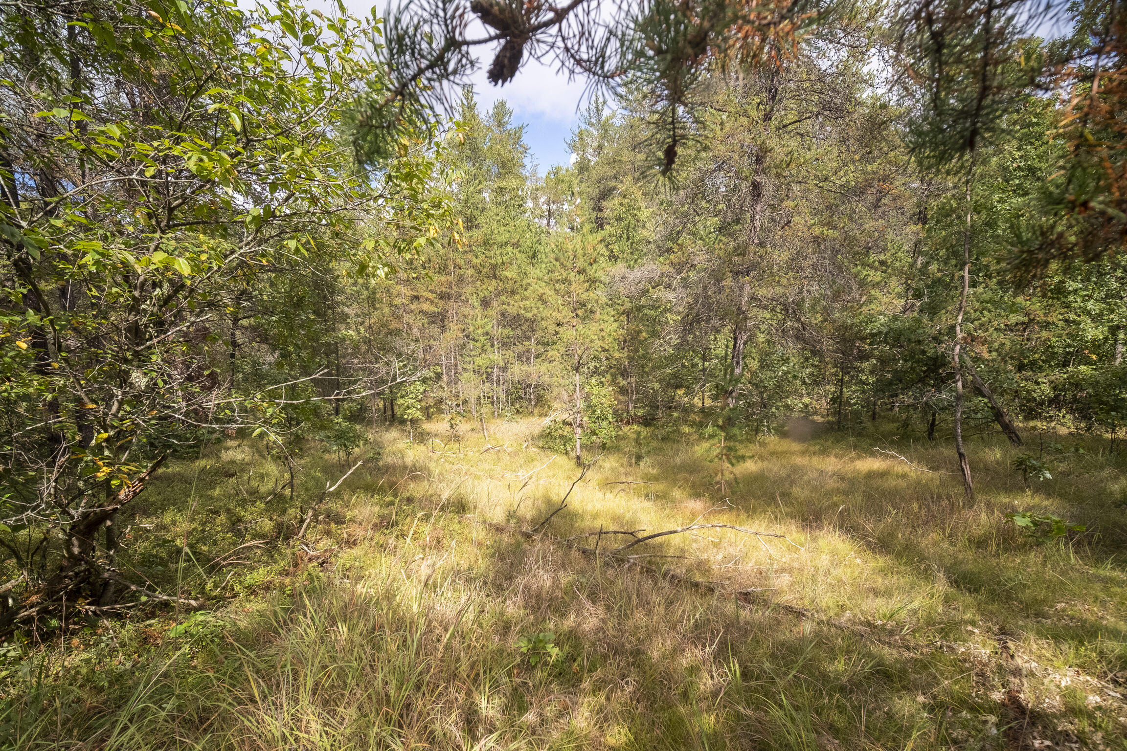 (10 Acres) Rybicki Road