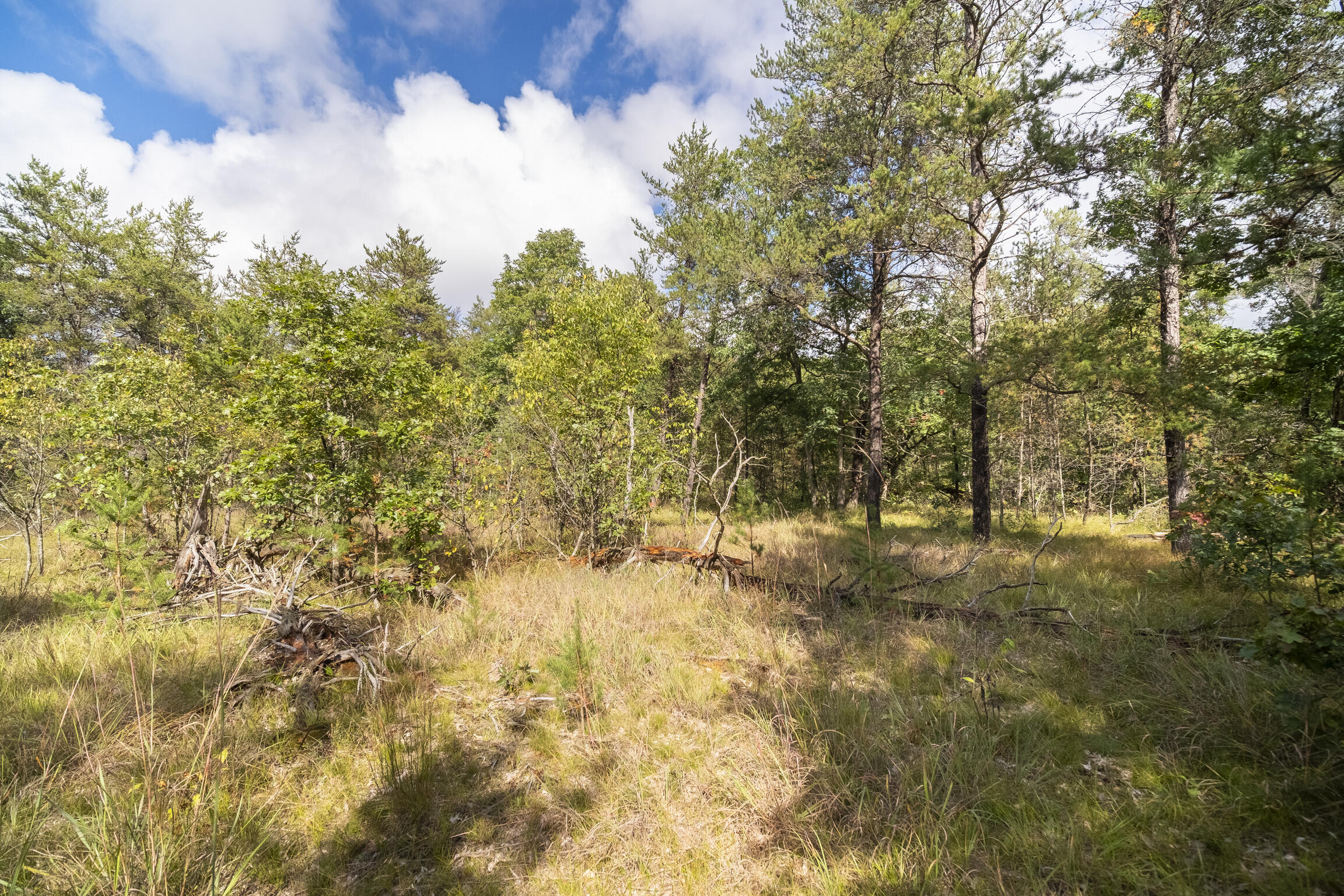 (10 Acres) Rybicki Road
