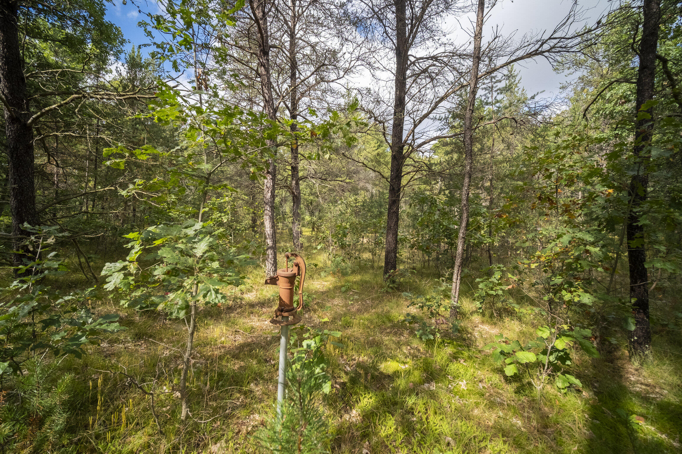 (10 Acres) Rybicki Road