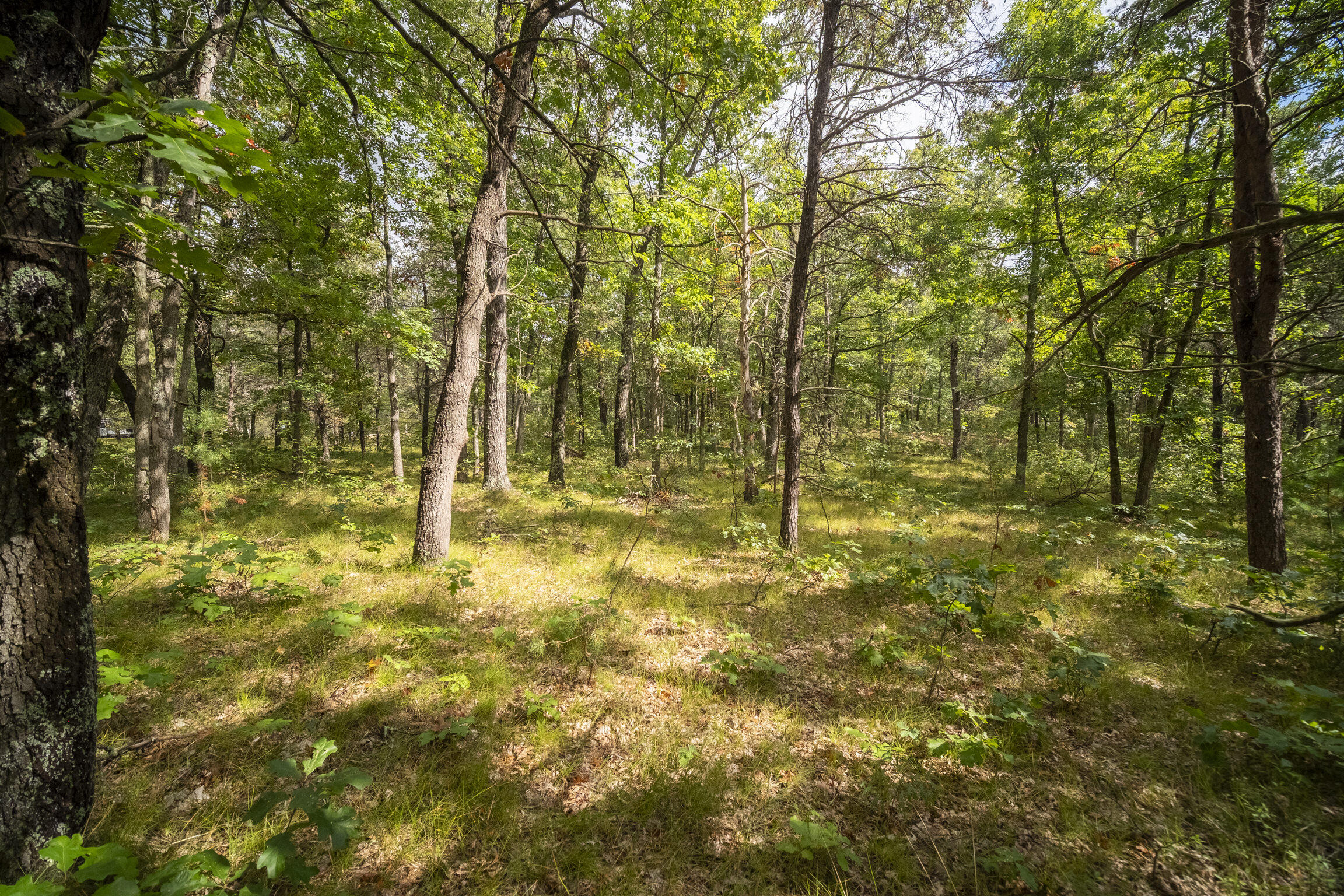 (10 Acres) Rybicki Road