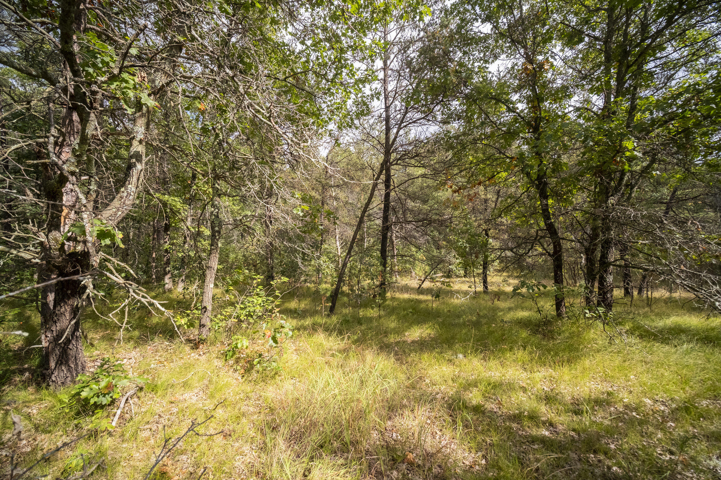 (10 Acres) Rybicki Road