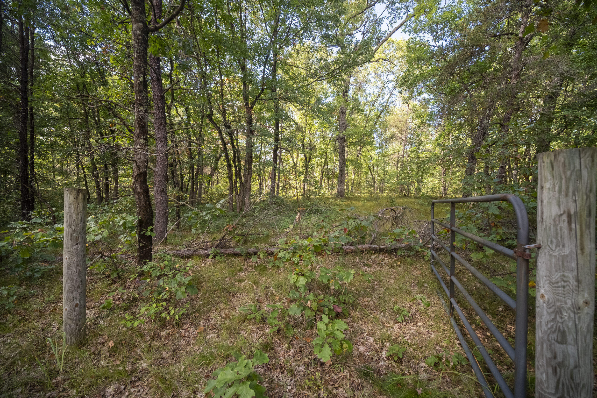 (10 Acres) Rybicki Road