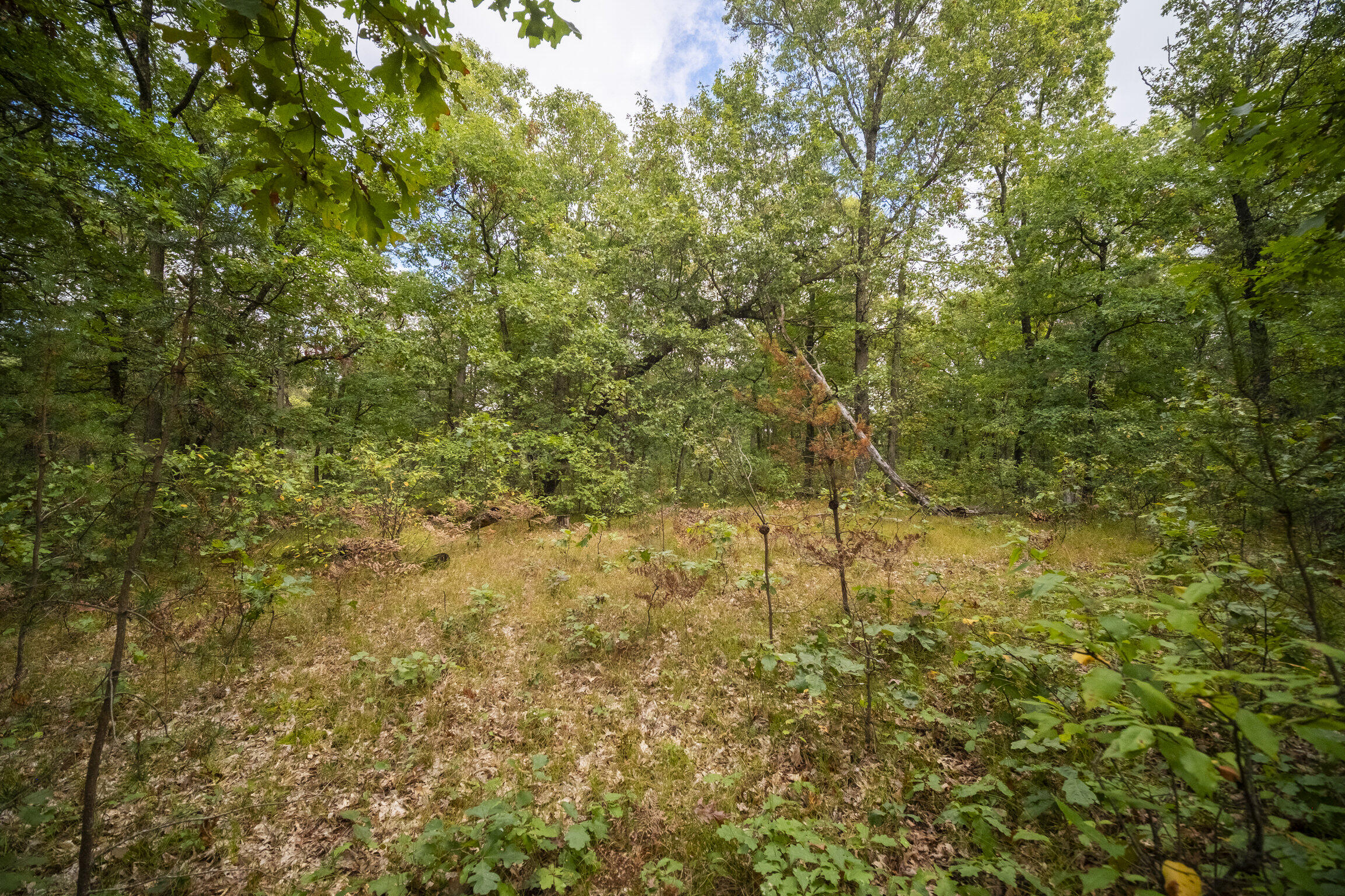 (10 Acres) Rybicki Road
