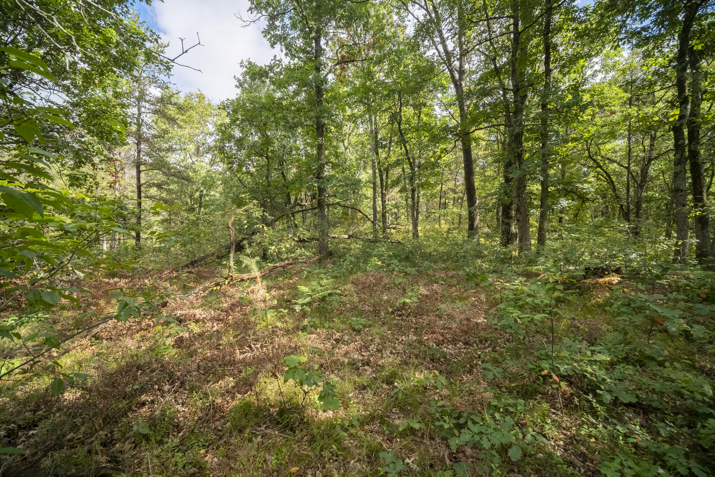 (10 Acres) Rybicki Road