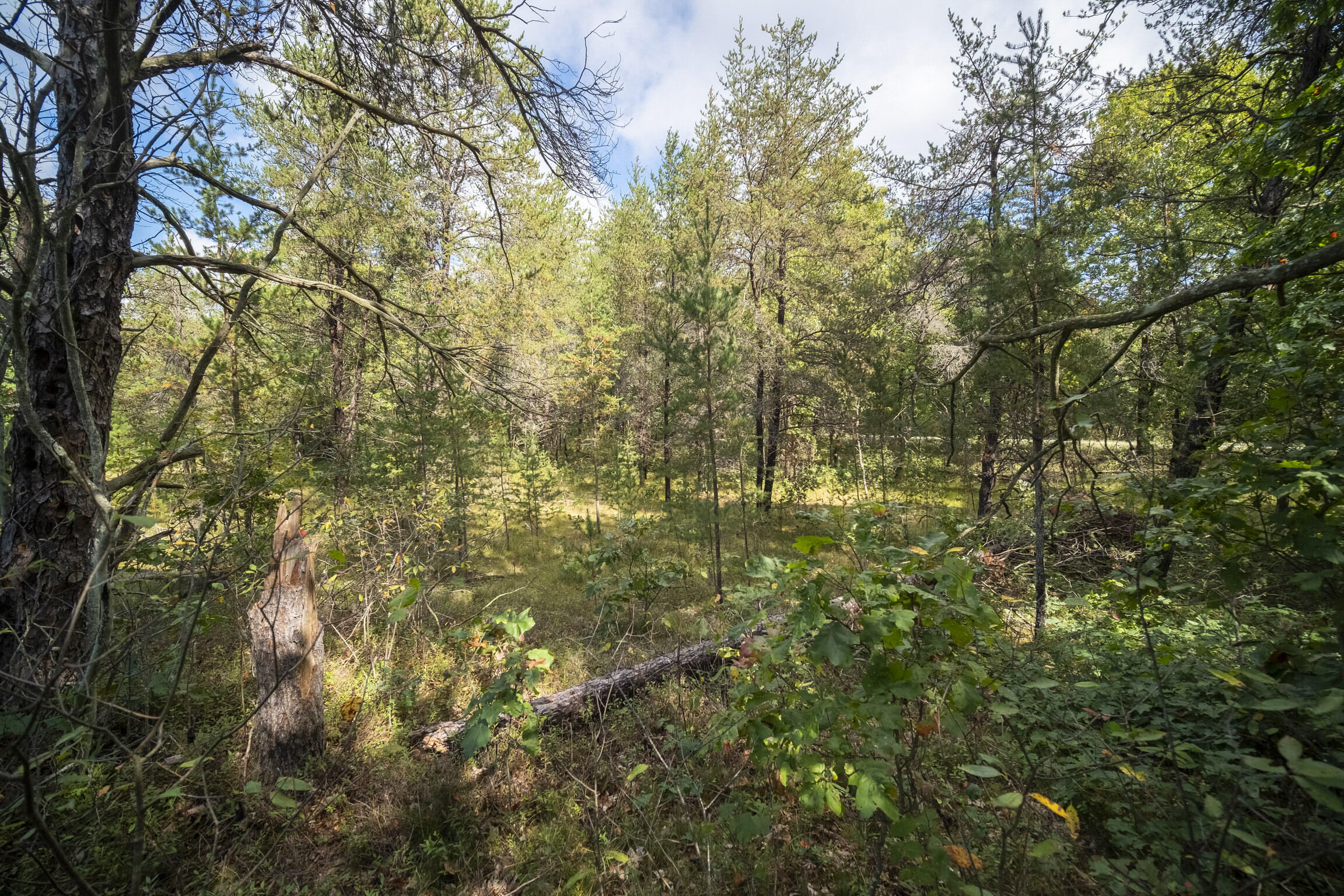 (10 Acres) Rybicki Road
