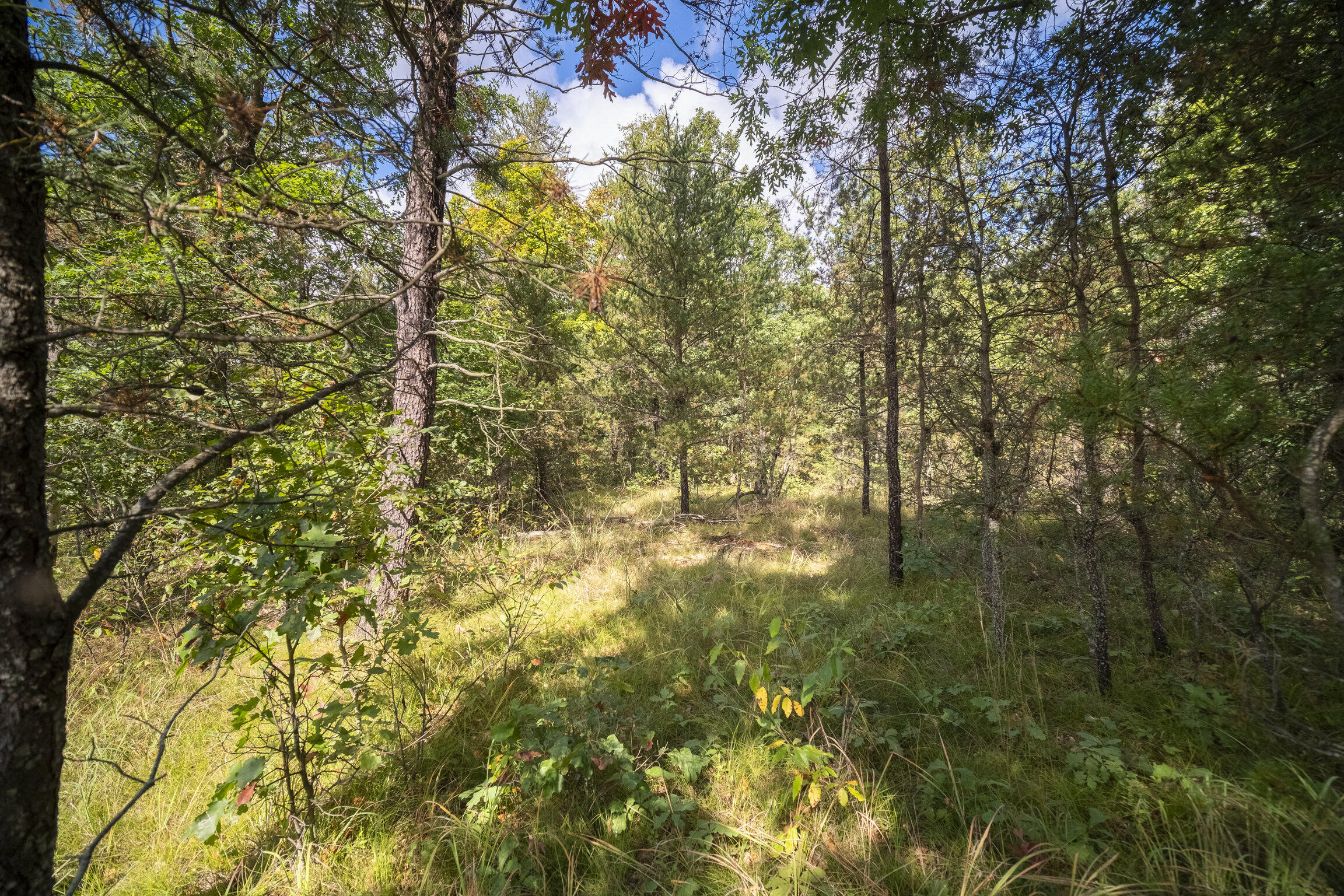 (10 Acres) Rybicki Road
