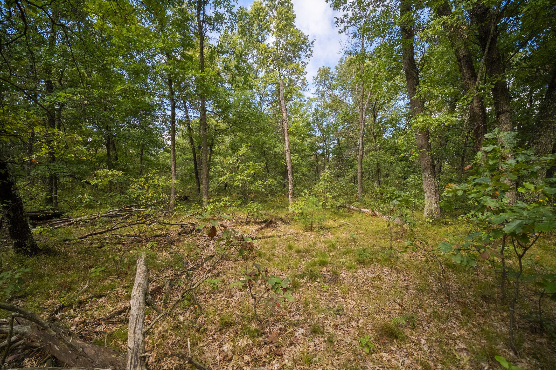 (10 Acres) Rybicki Road
