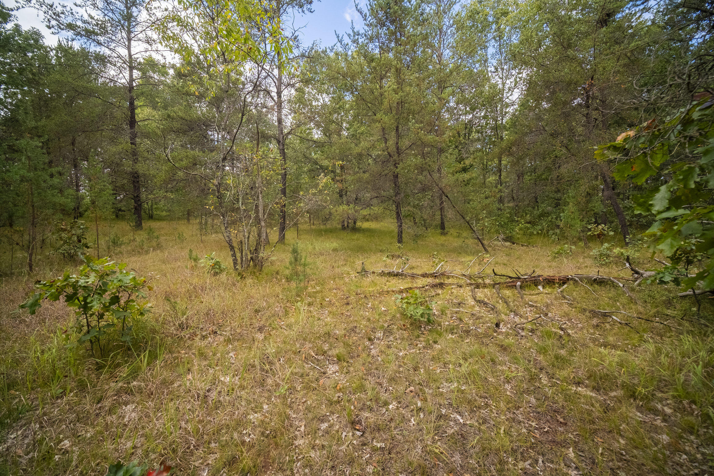 (10 Acres) Rybicki Road