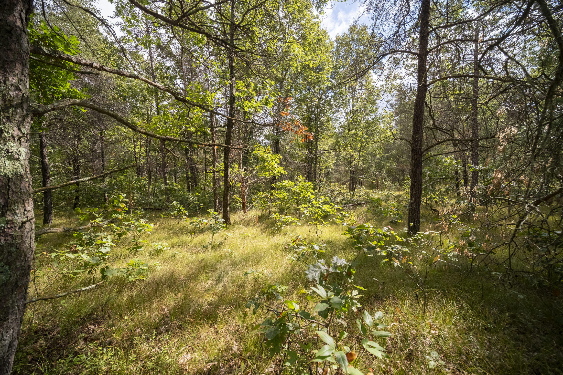(10 Acres) Rybicki Road