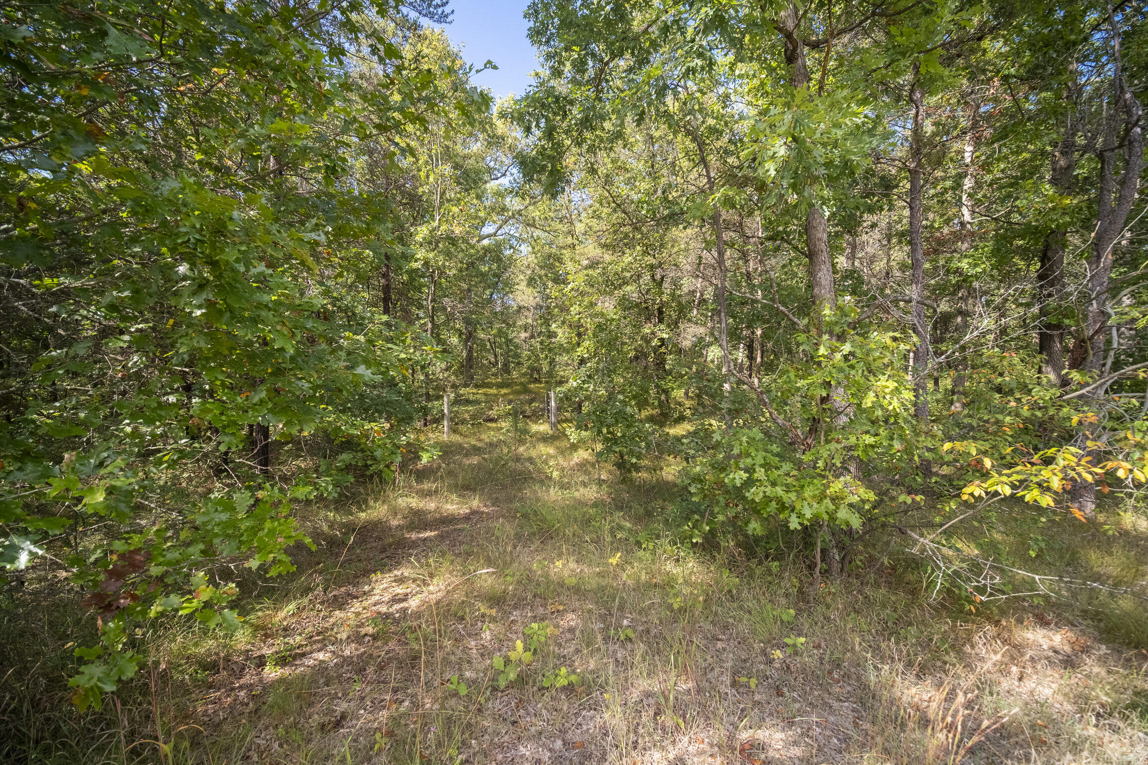 (10 Acres) Rybicki Road