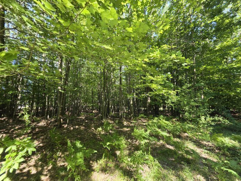 Valleyview Ridge Parcel T