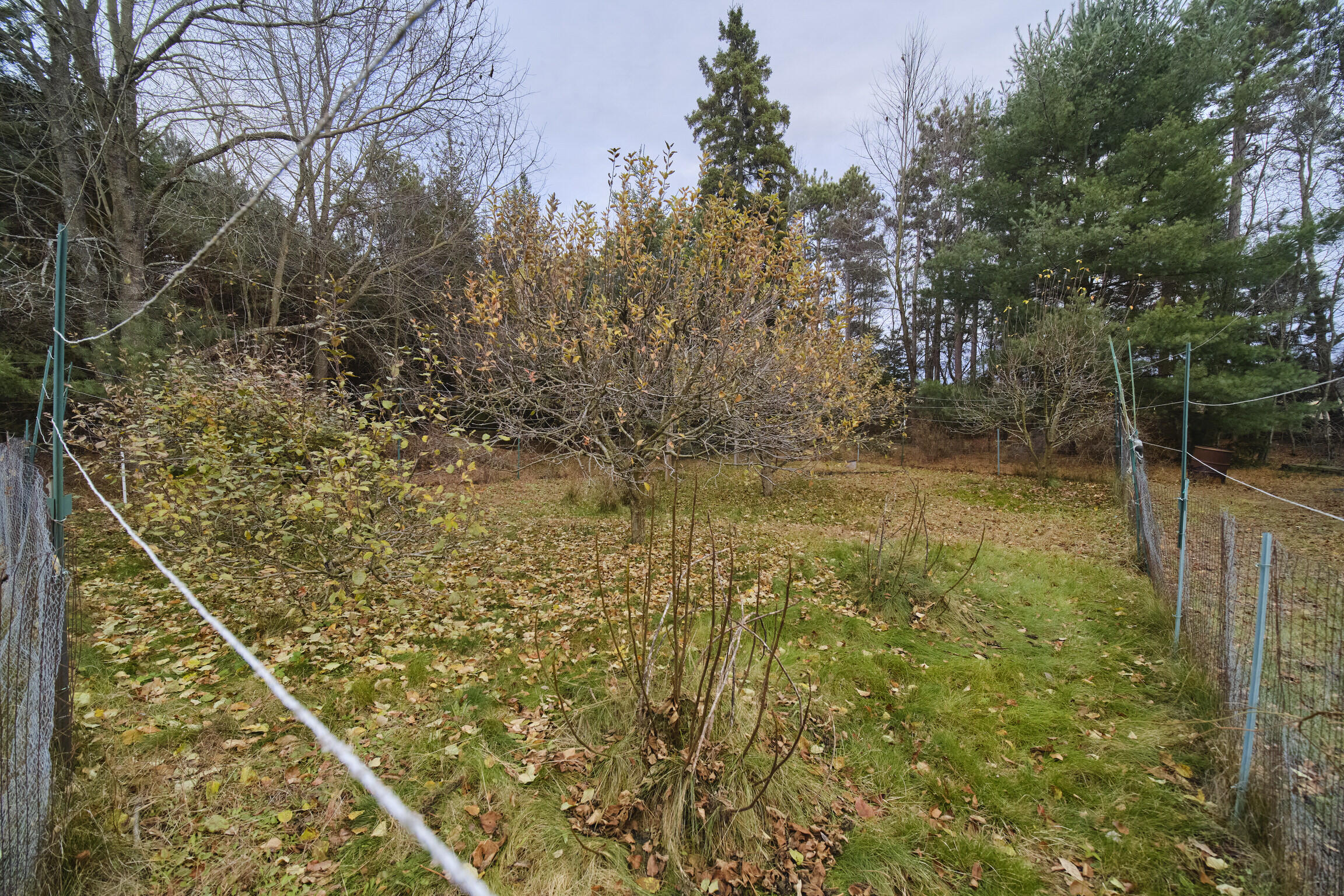 14061 Erdman Road