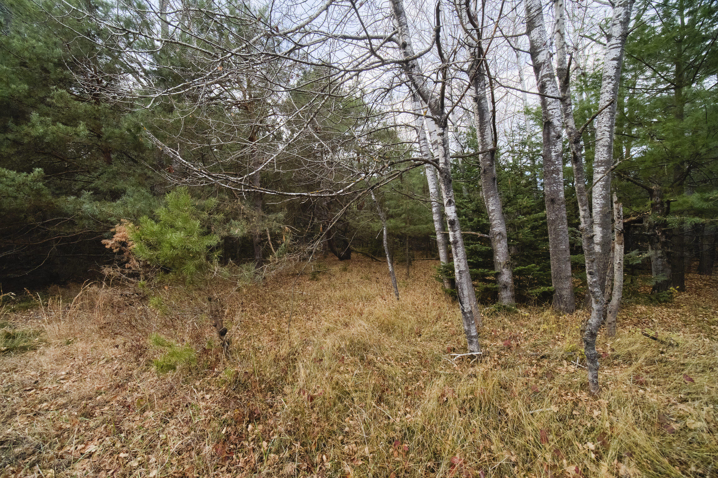 14061 Erdman Road