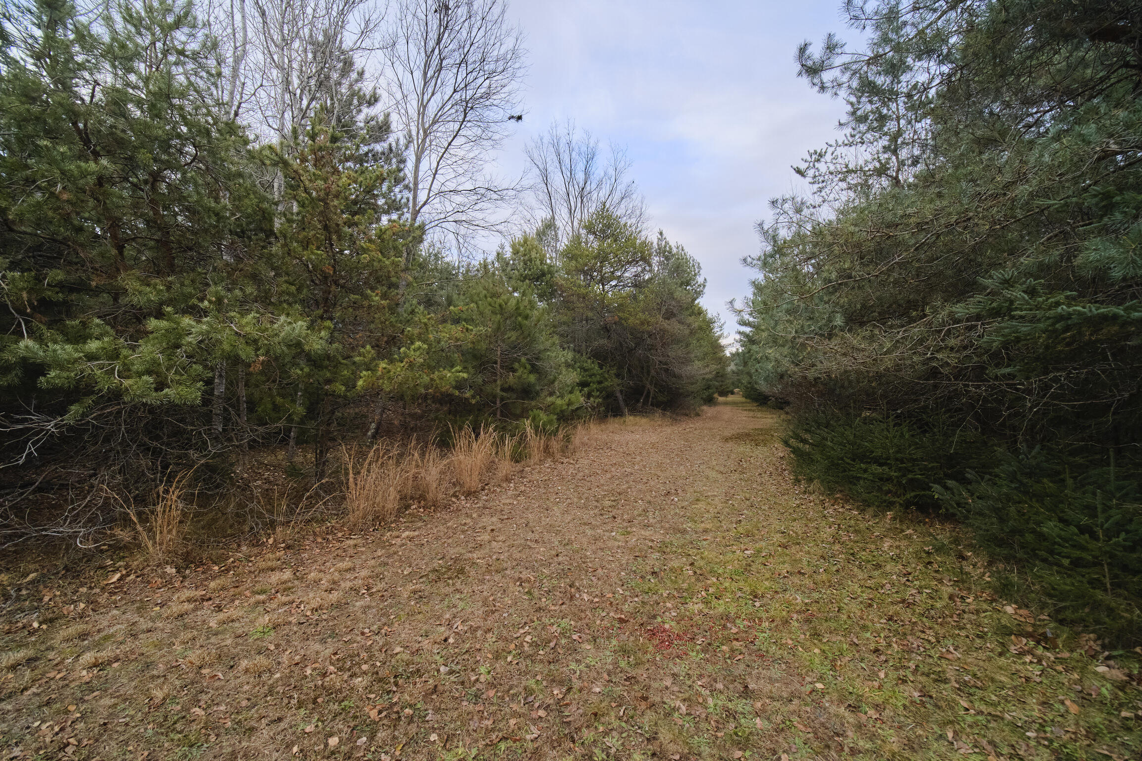 14061 Erdman Road