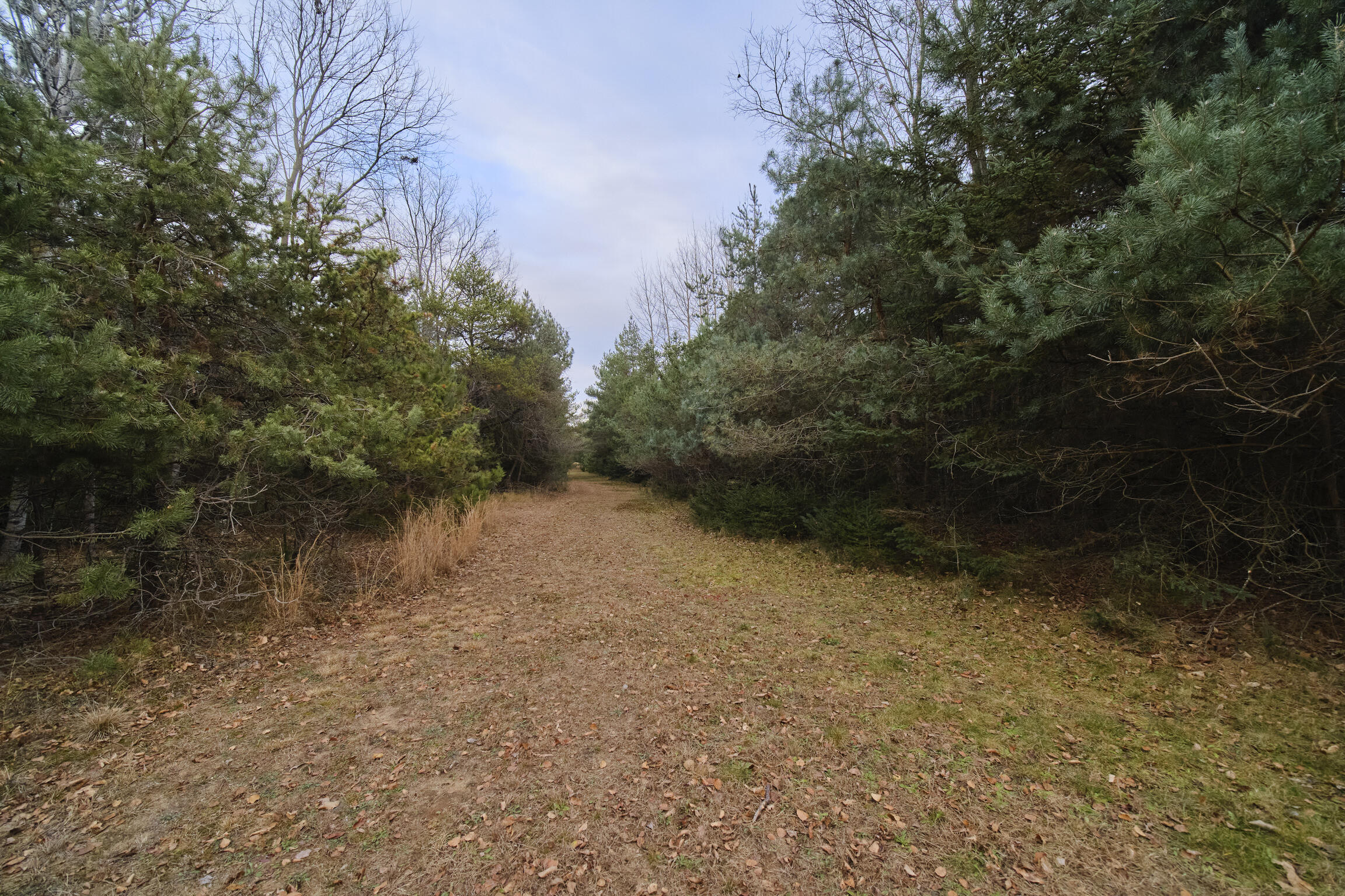 14061 Erdman Road