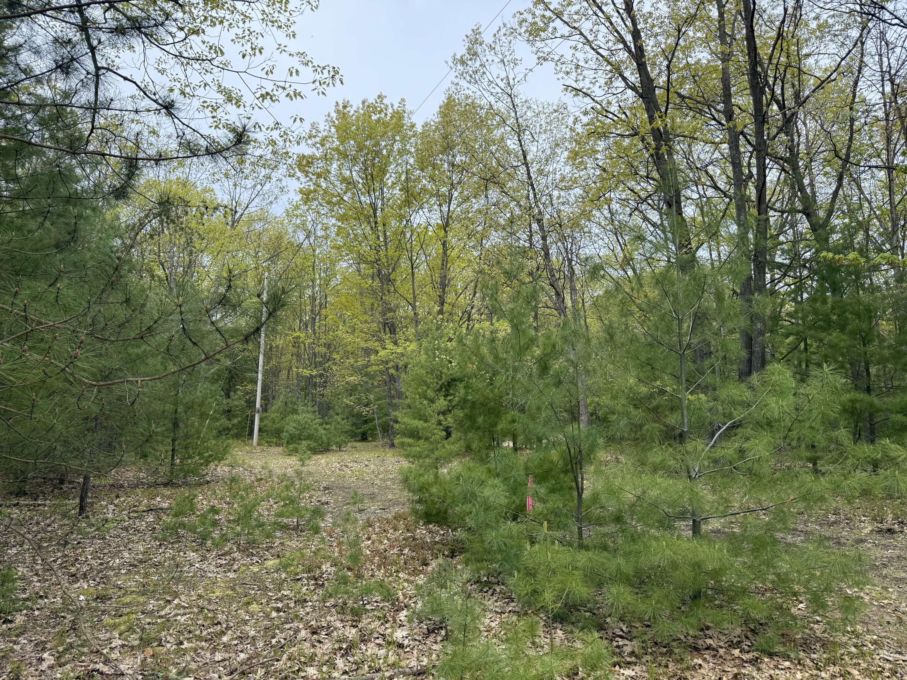 V/L Critter Trail Parcel C