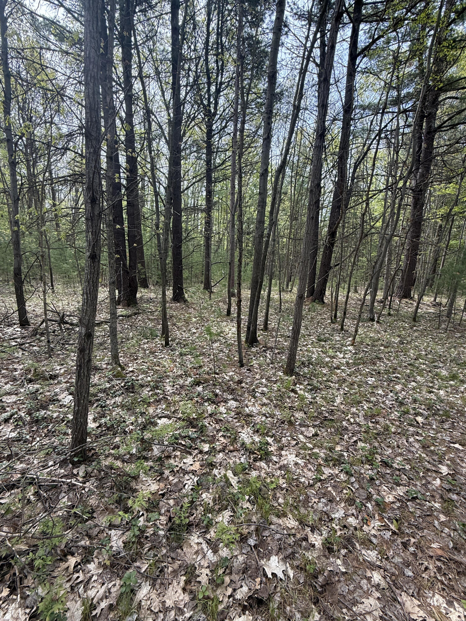 V/L Critter Trail Parcel C
