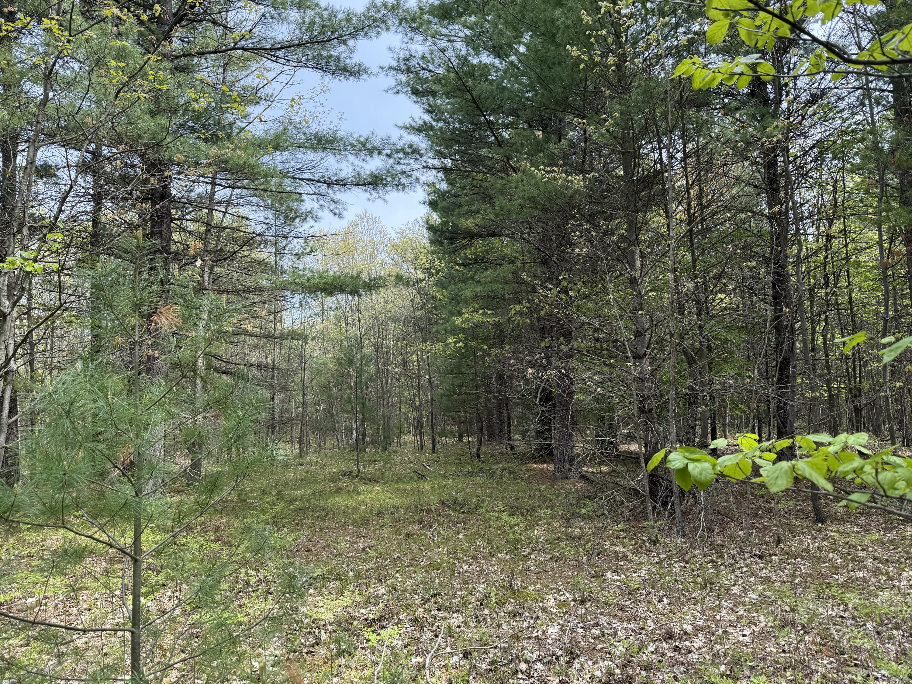 V/L Critter Trail Parcel C