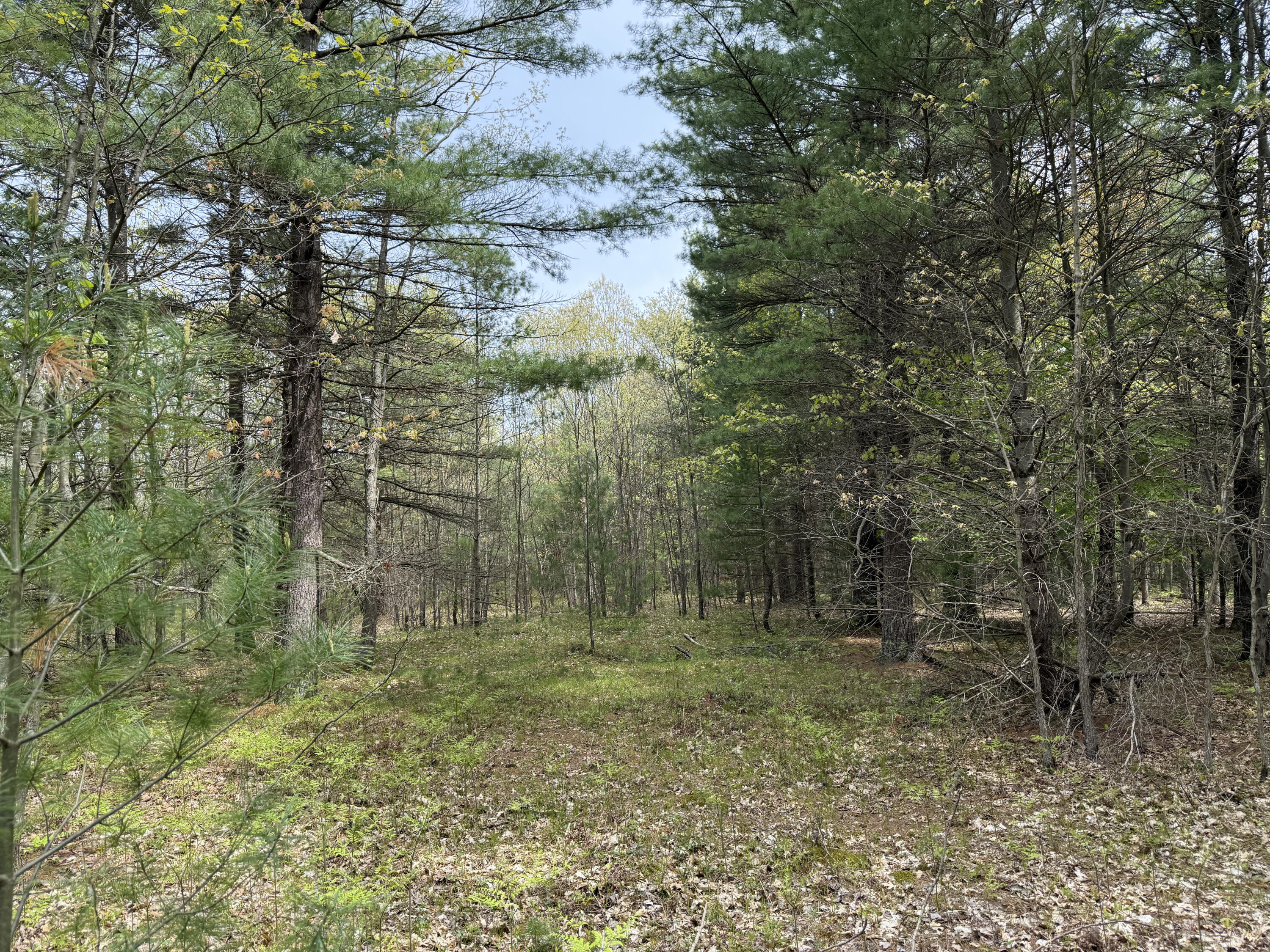 V/L Critter Trail Parcel C