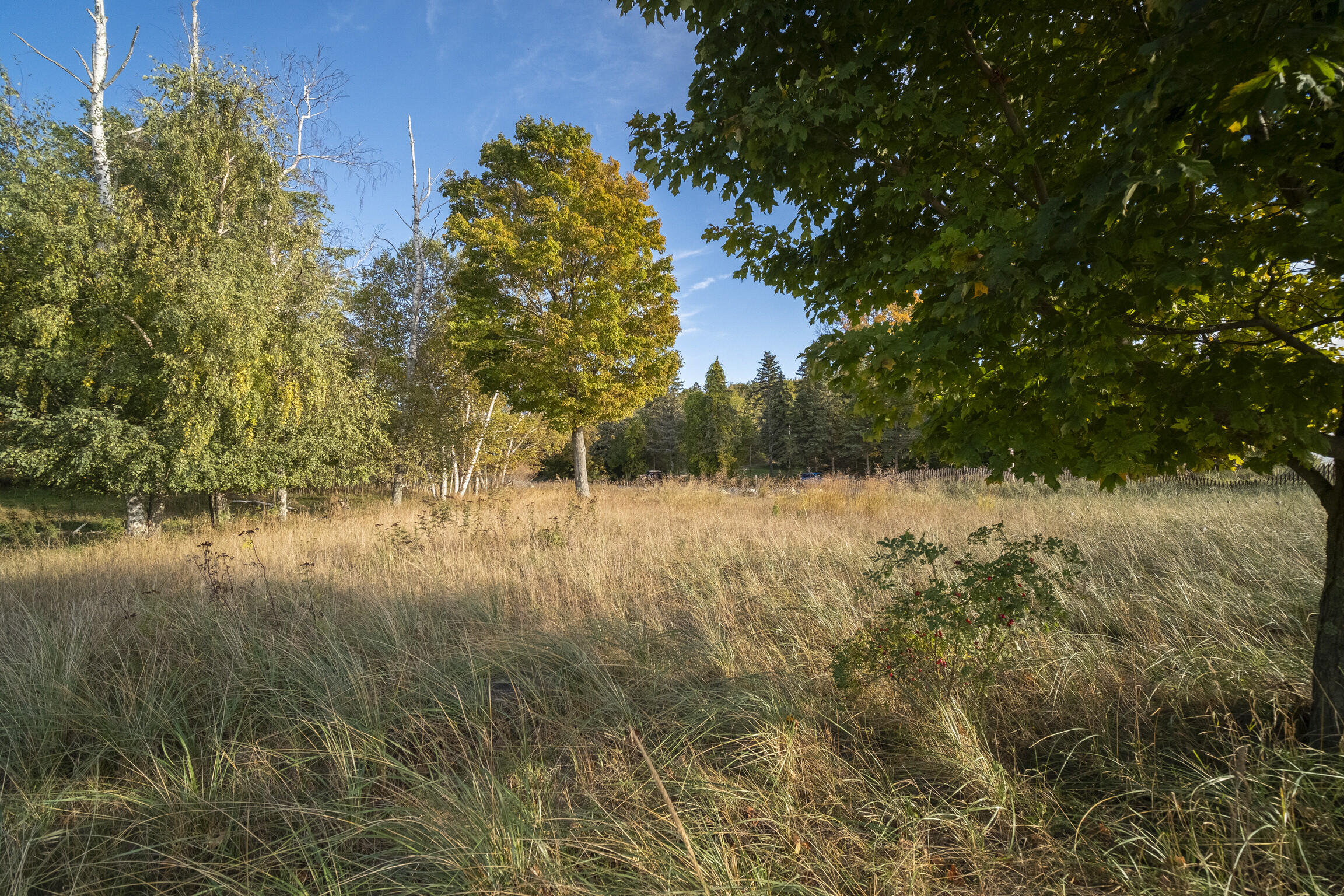 (Lot #14) Lakeview Road