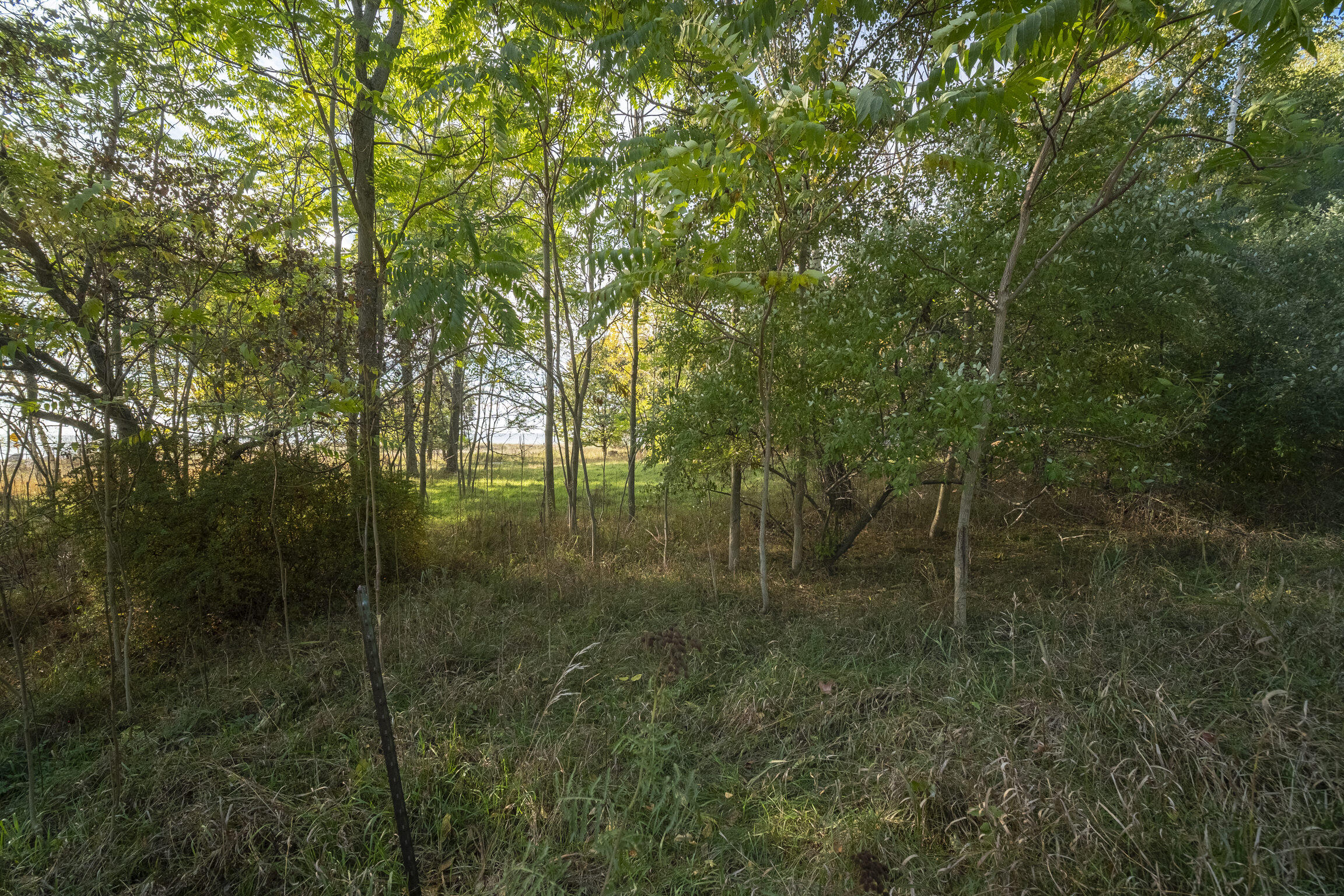 (Lot #14) Lakeview Road