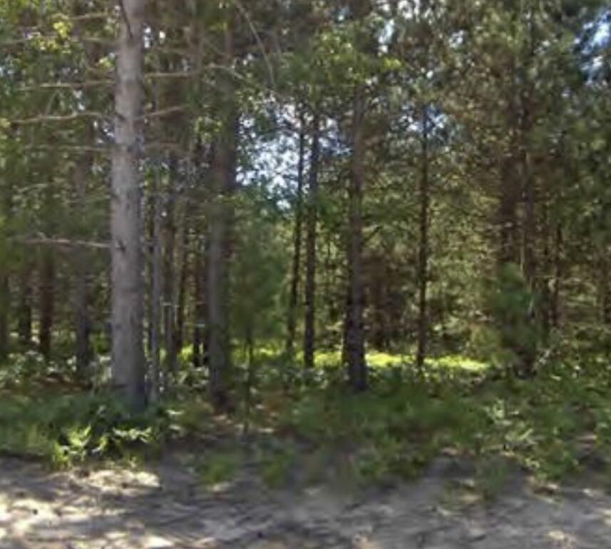 9 Bergstrom Drive