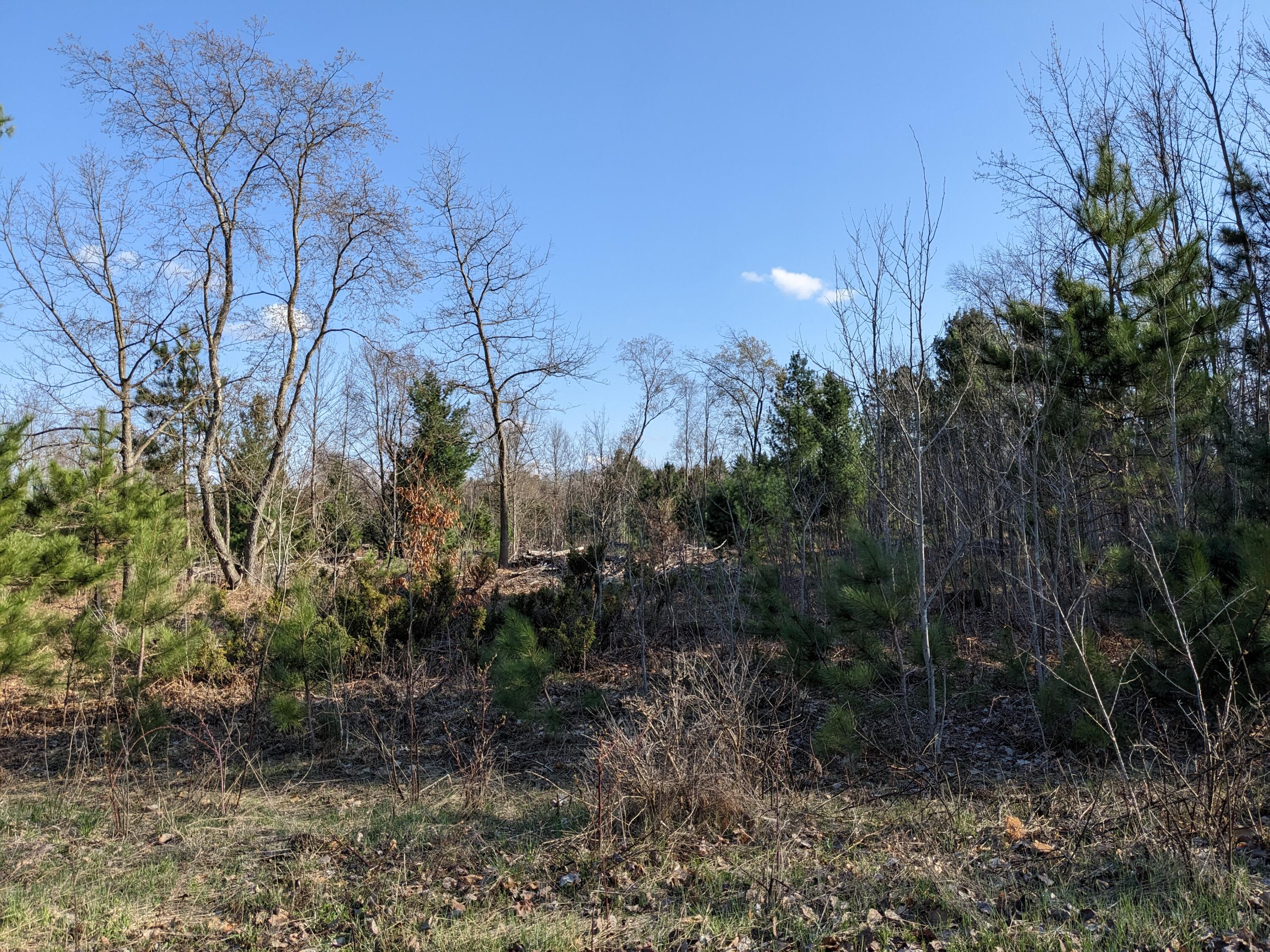 9 Bergstrom Drive