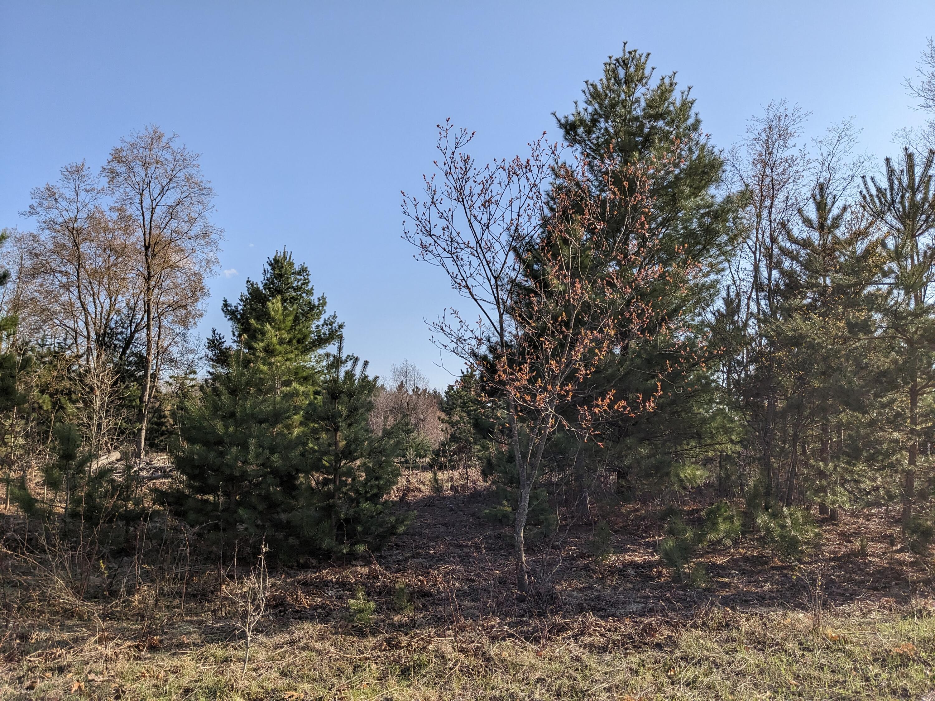 9 Bergstrom Drive