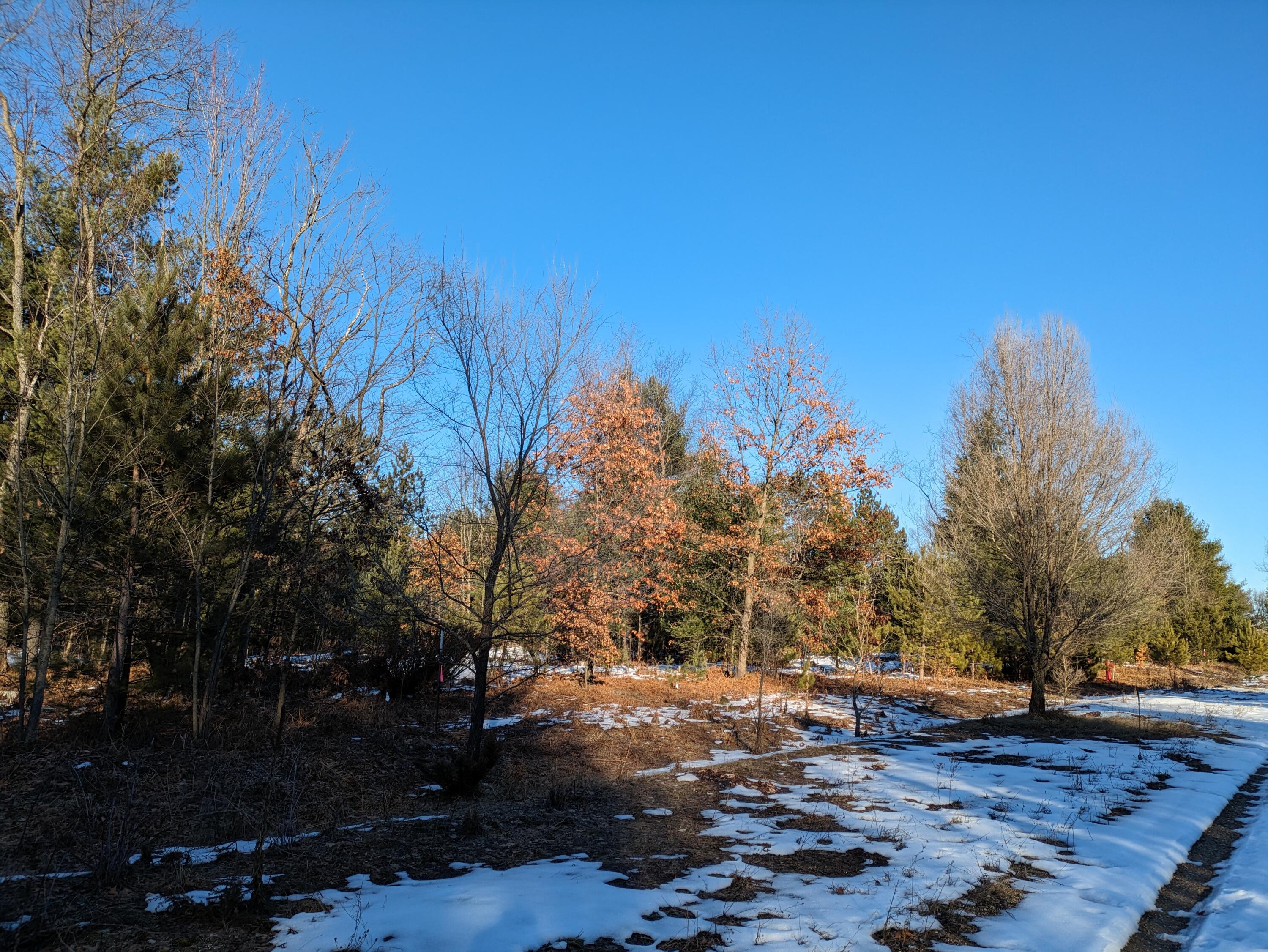 10 Bergstrom Drive