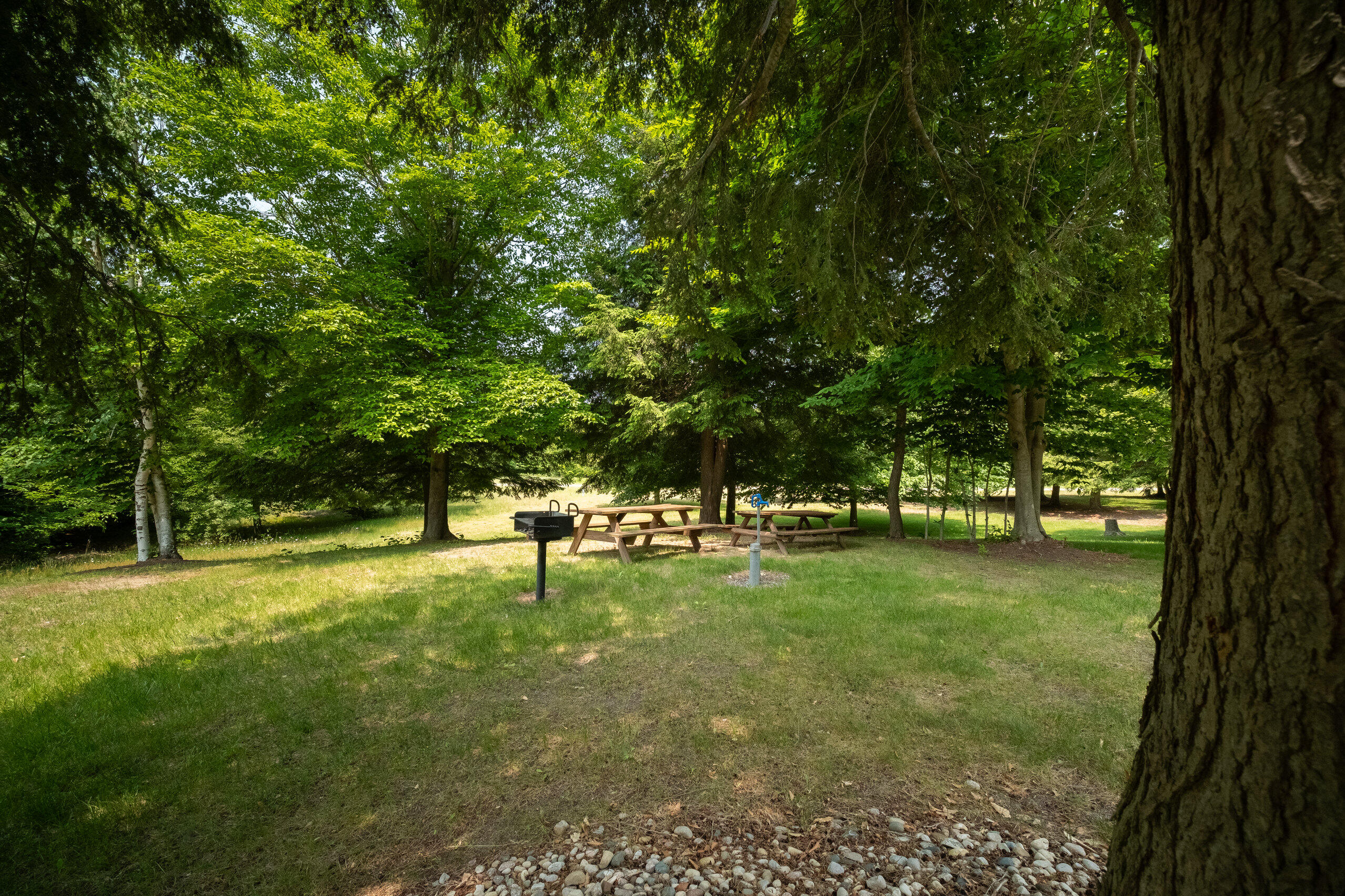 10201 Opal Ridge Drive