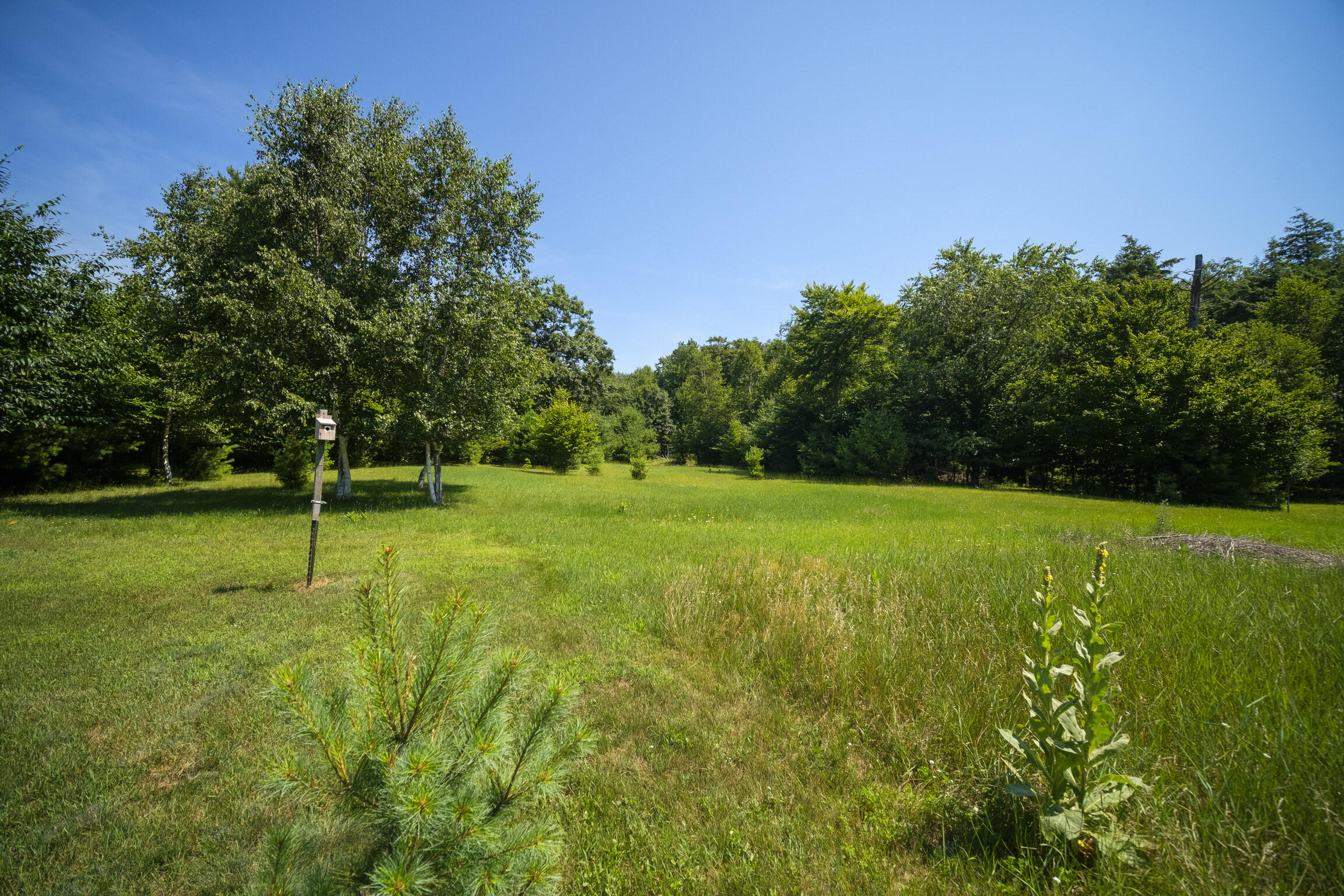 10201 Opal Ridge Drive