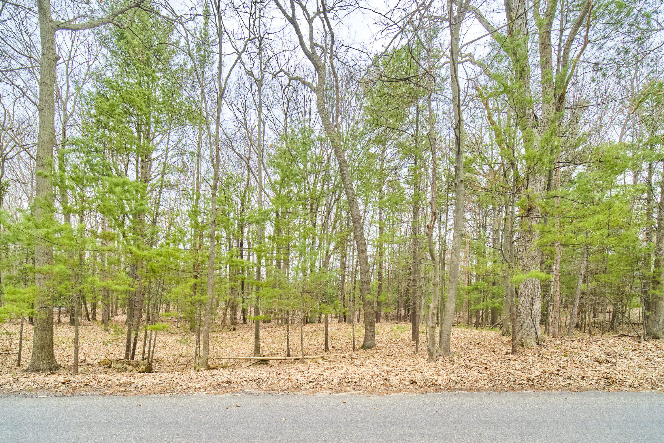 V/L E Piney Road