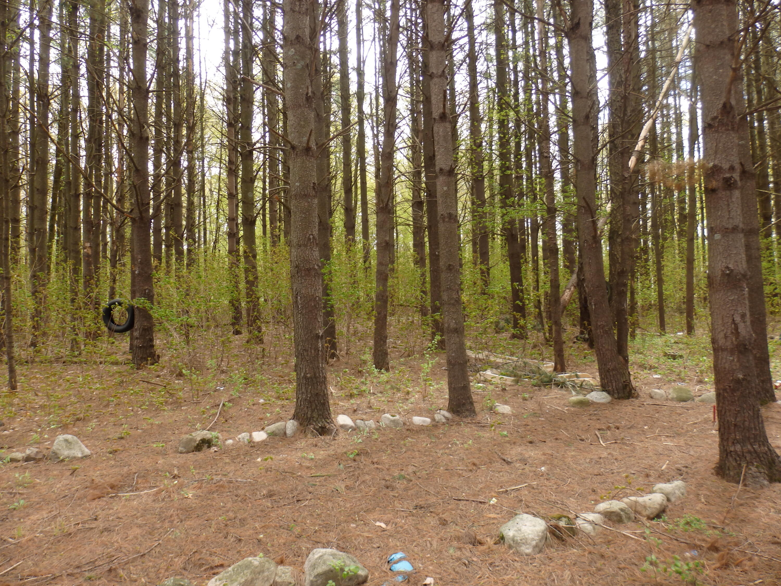 20192 9 Mile Road