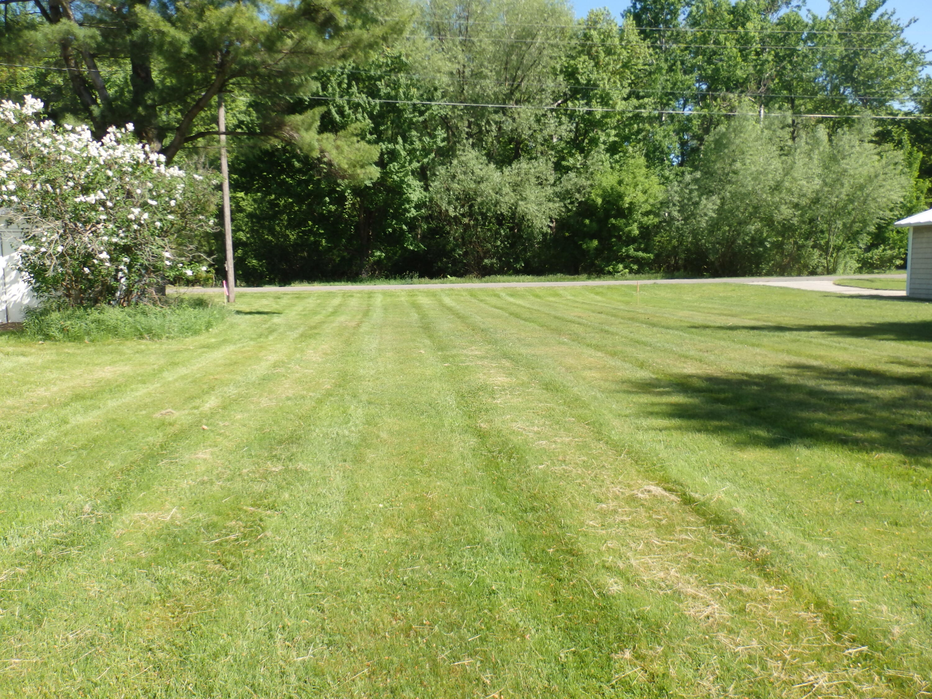 Bair Avenue