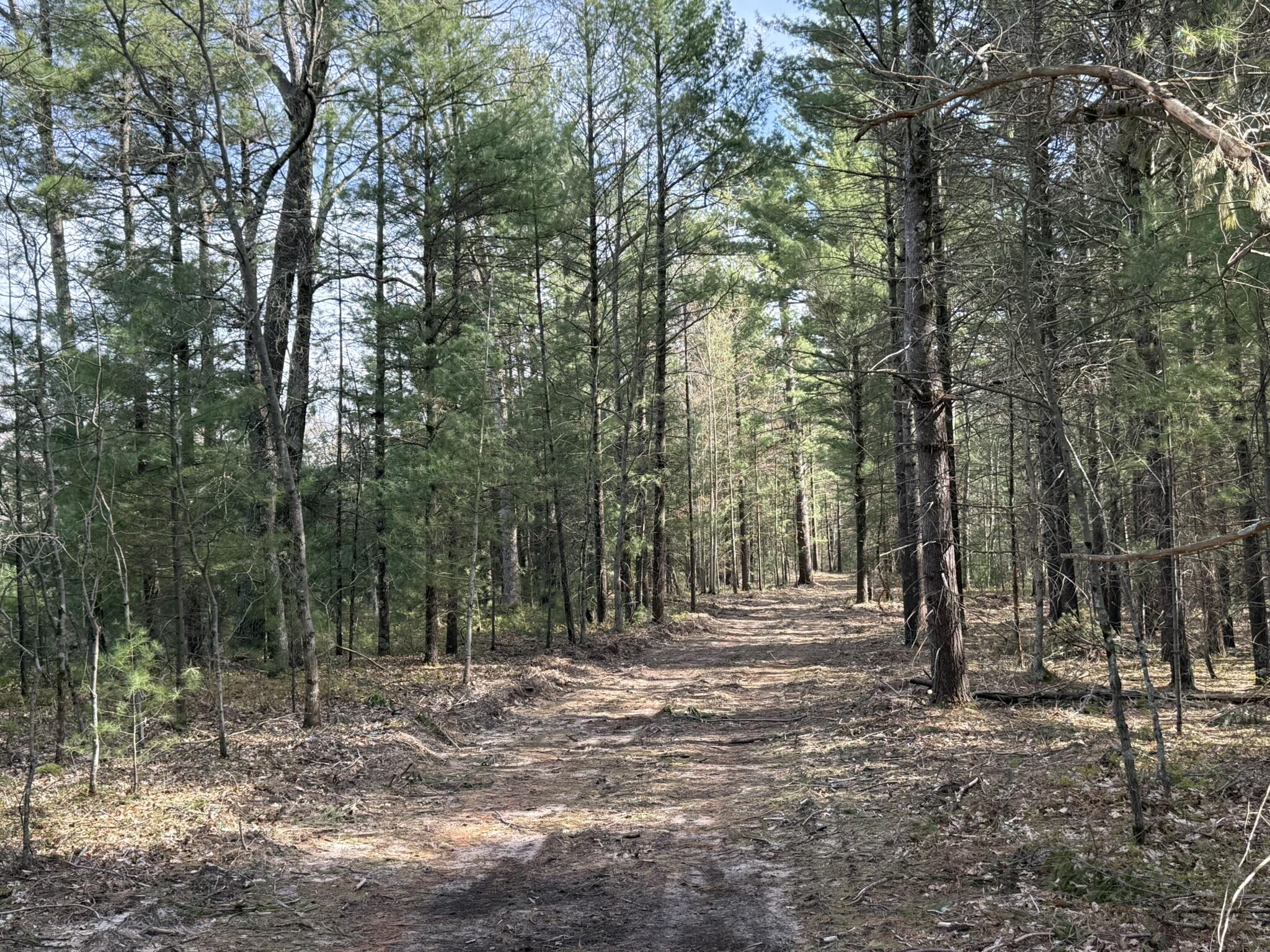 Parcel D V/L Critter Trail
