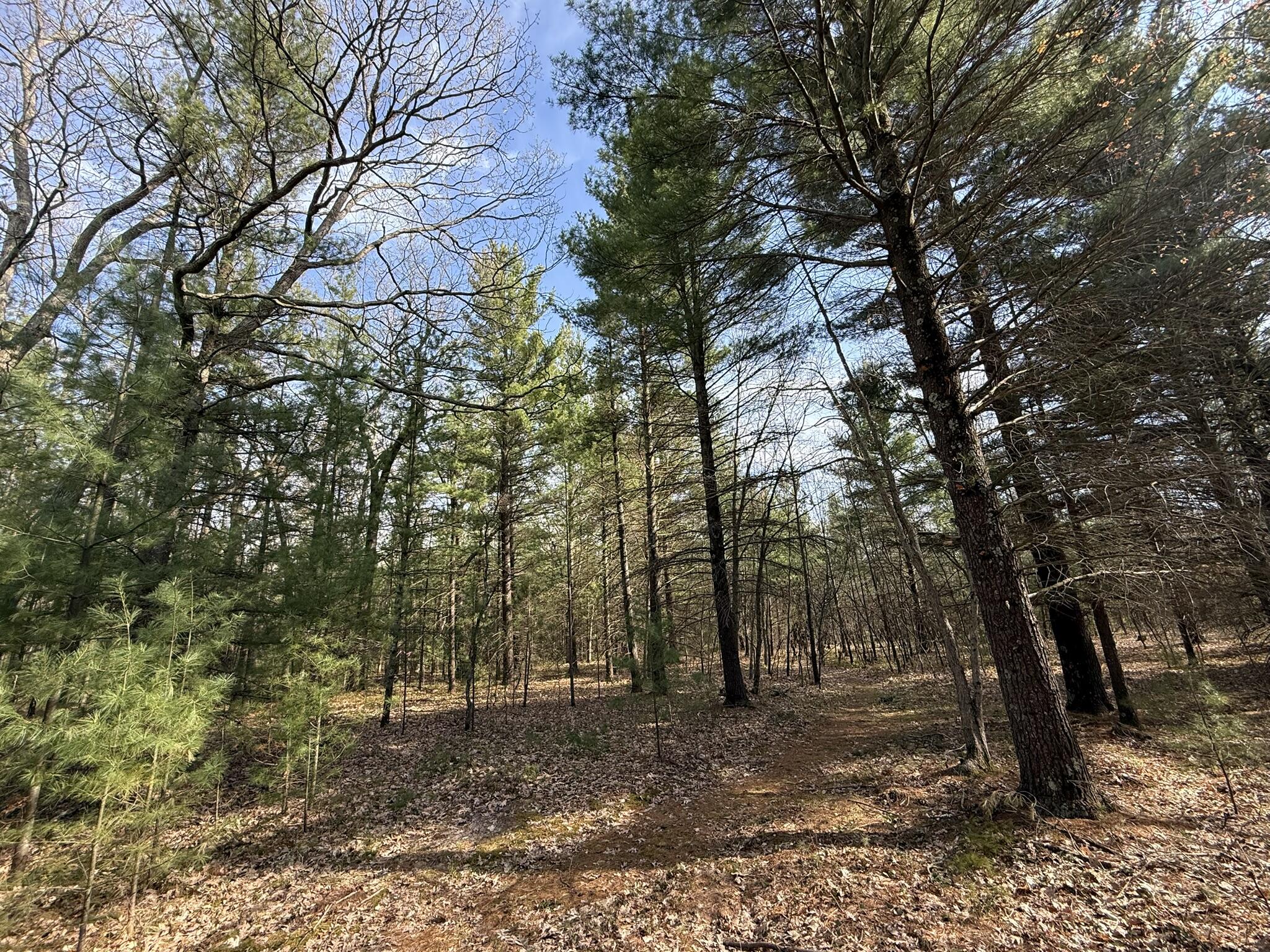 Parcel D V/L Critter Trail