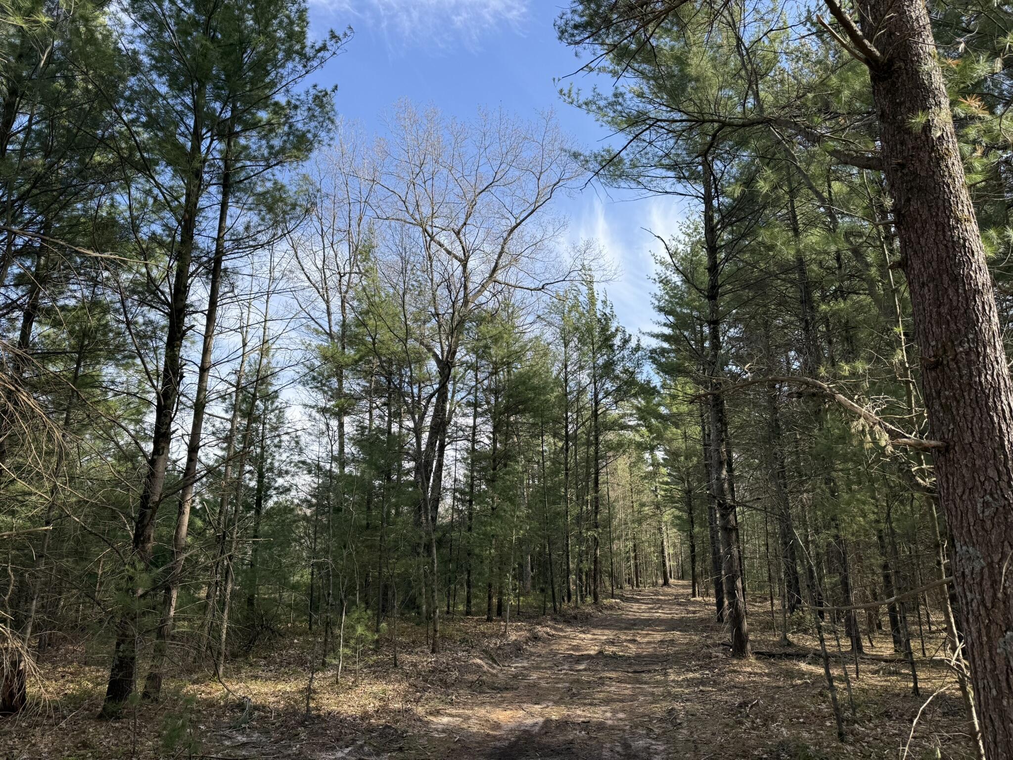 Parcel D V/L Critter Trail