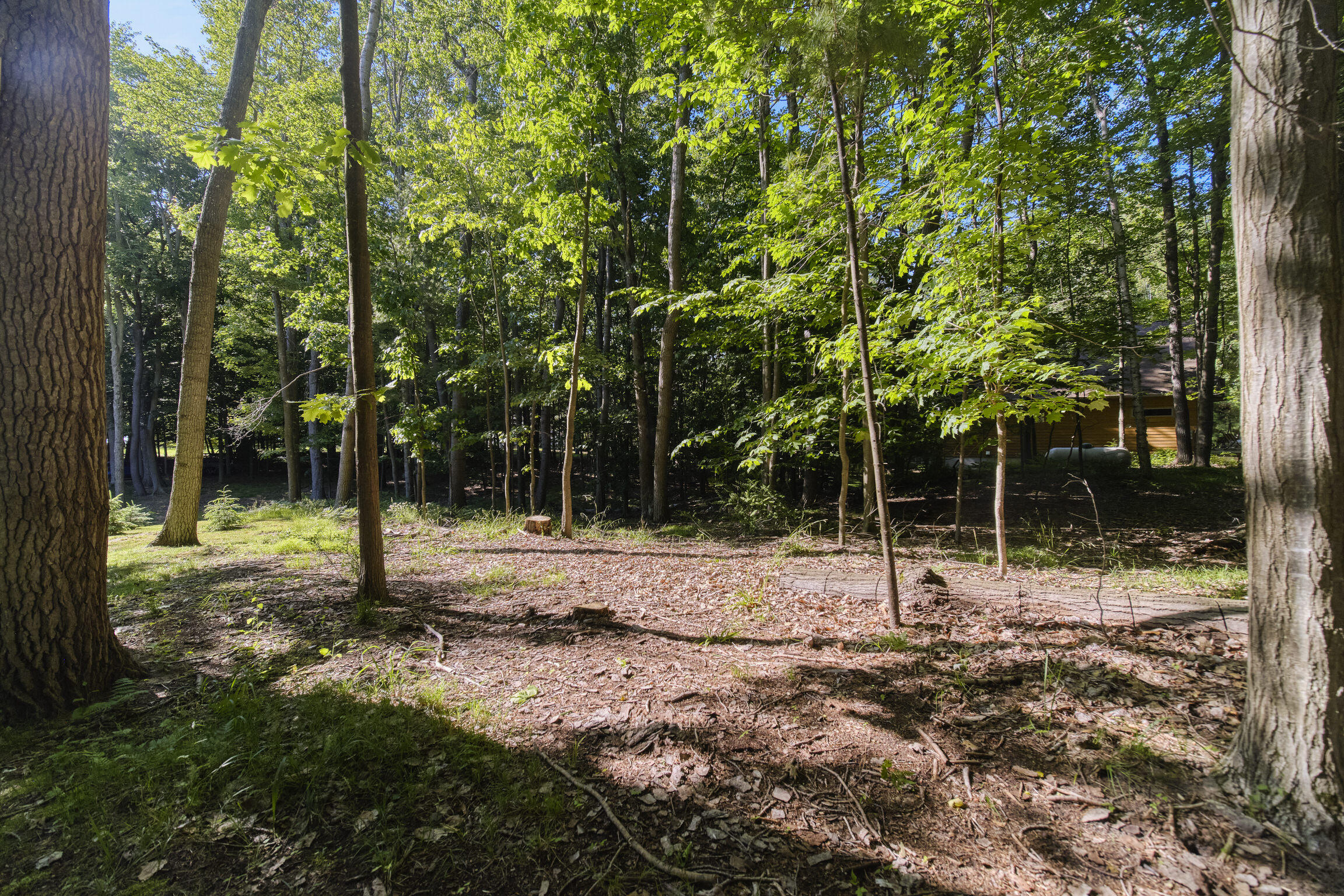 10826 Old Freesoil Road N