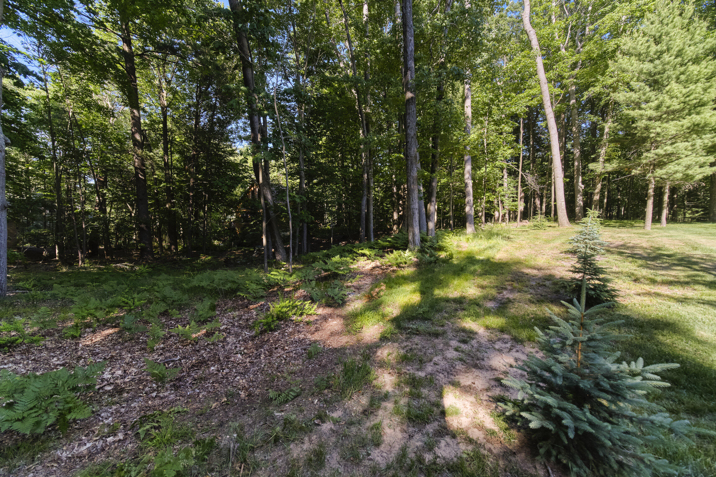 10826 Old Freesoil Road N