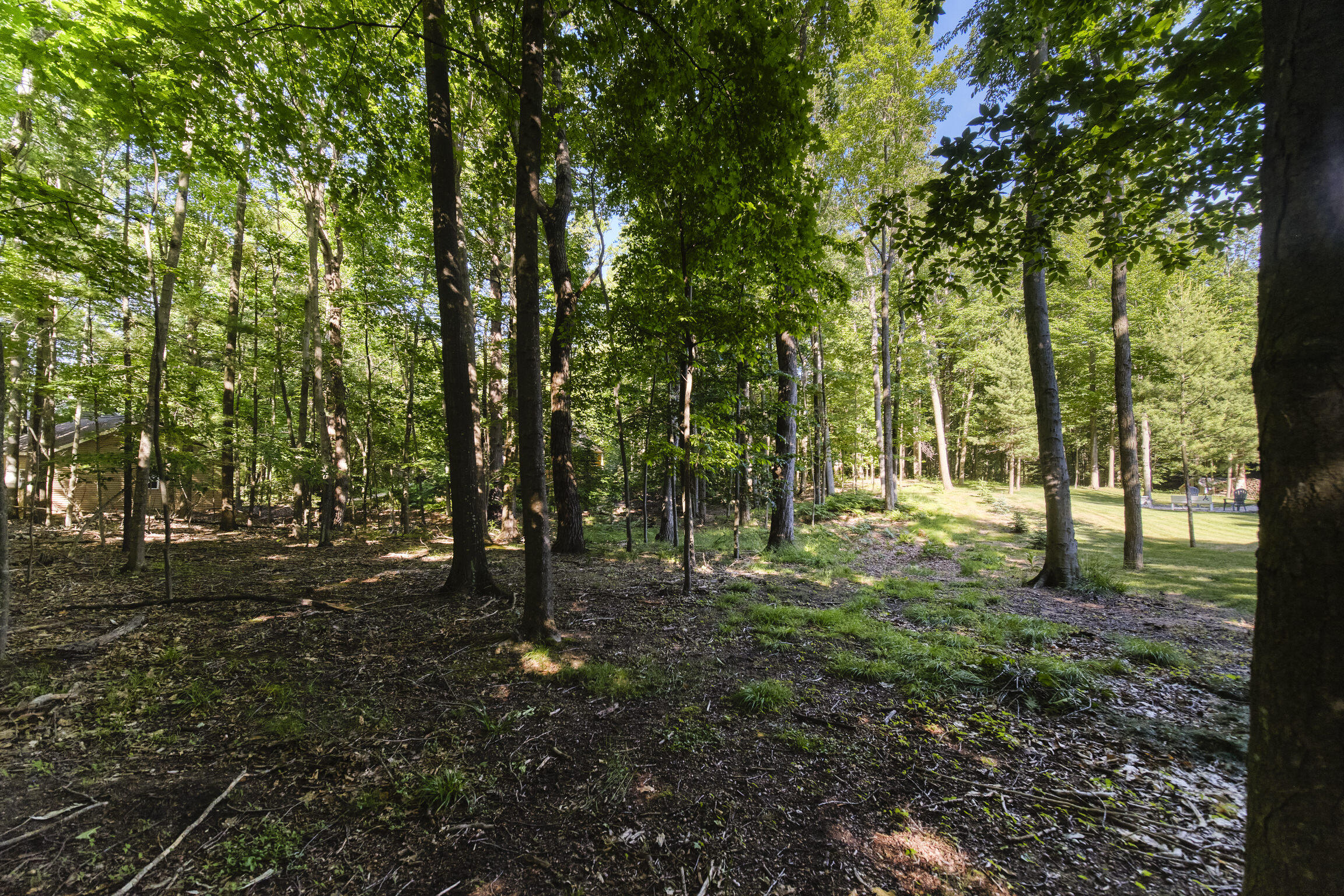 10826 Old Freesoil Road N