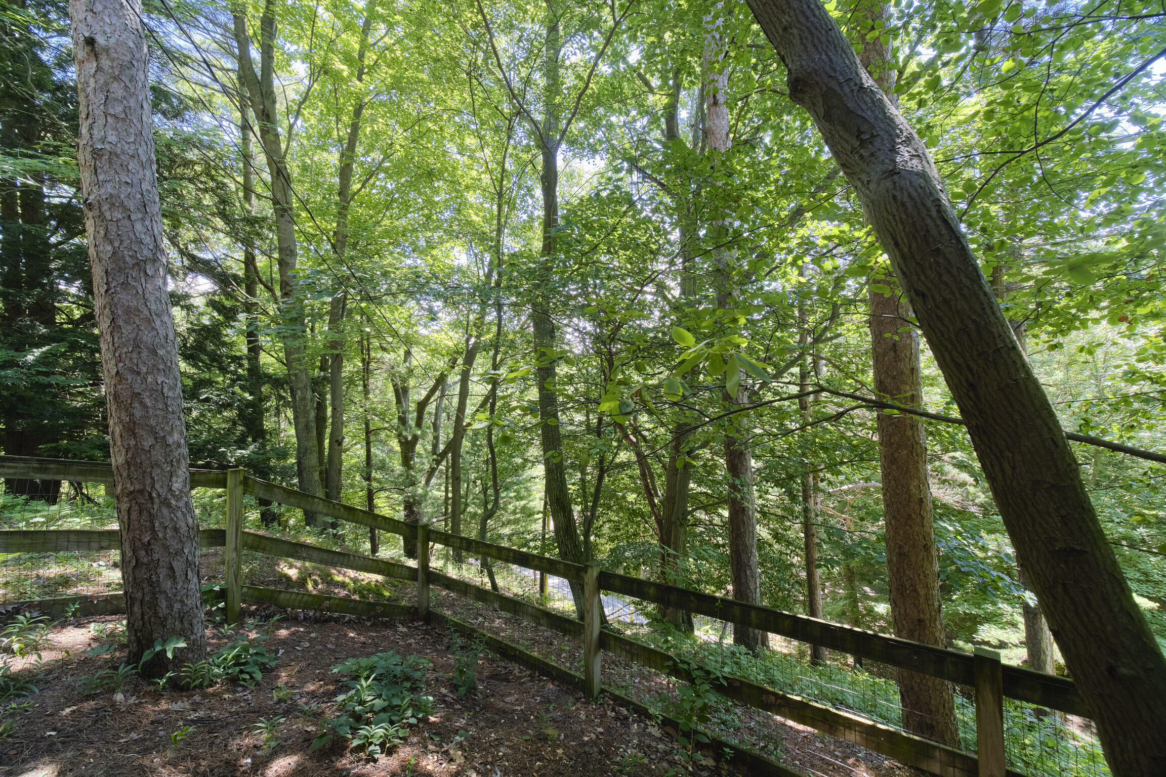 10777 Old Freesoil Road