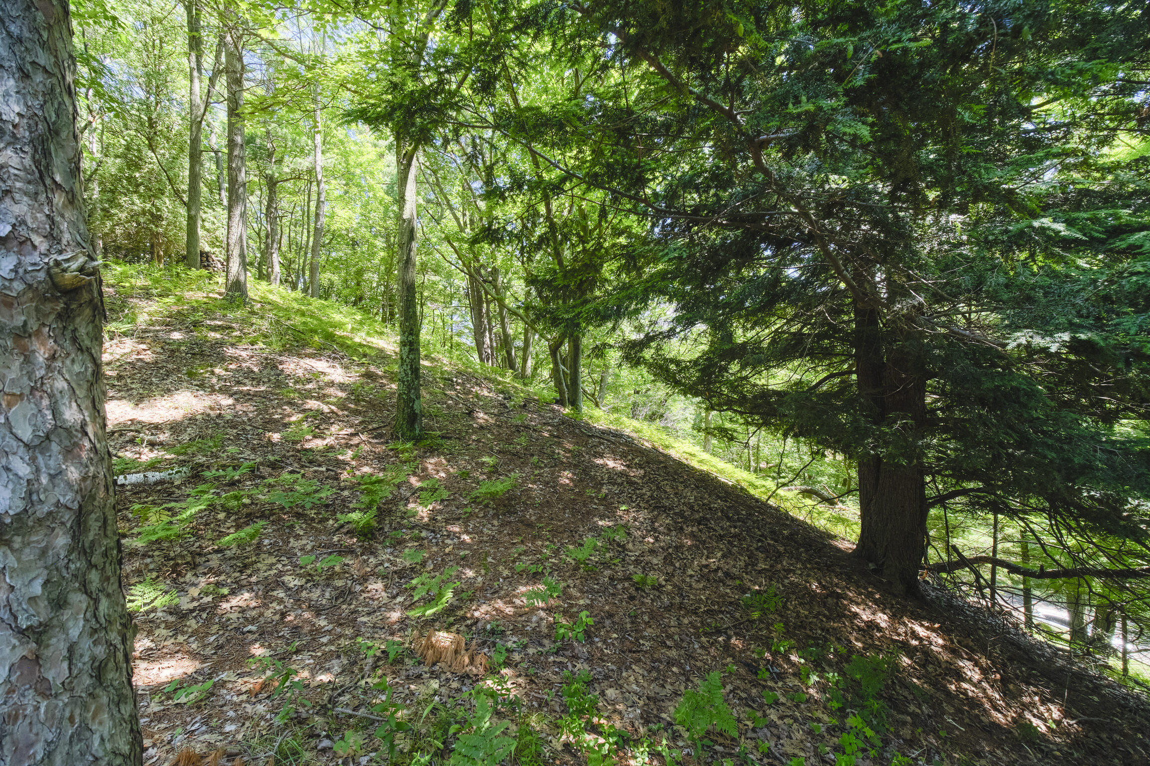 10777 Old Freesoil Road