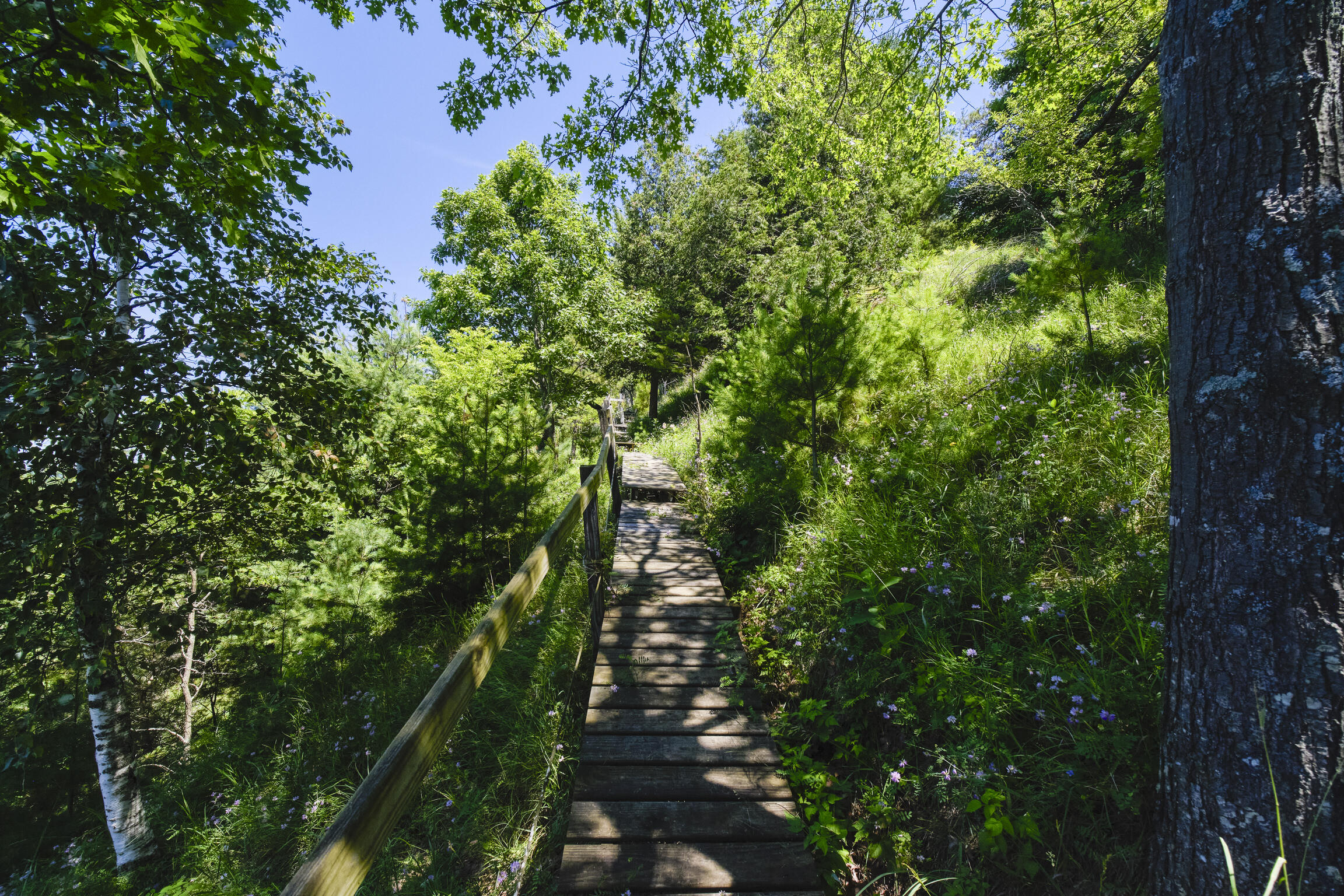 10777 Old Freesoil Road