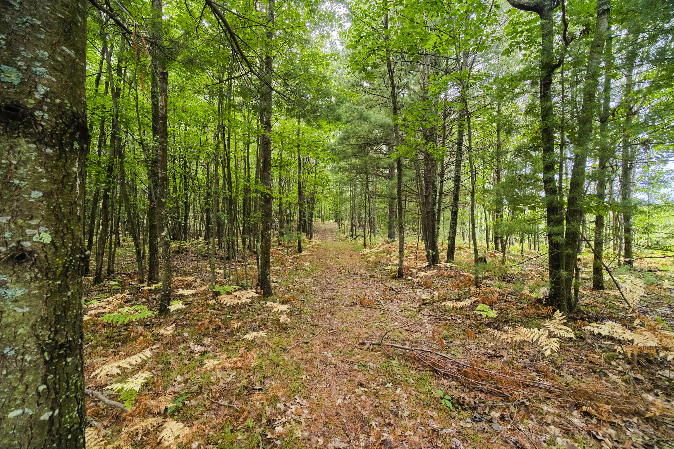 8089 Hunter's Ridge Trail