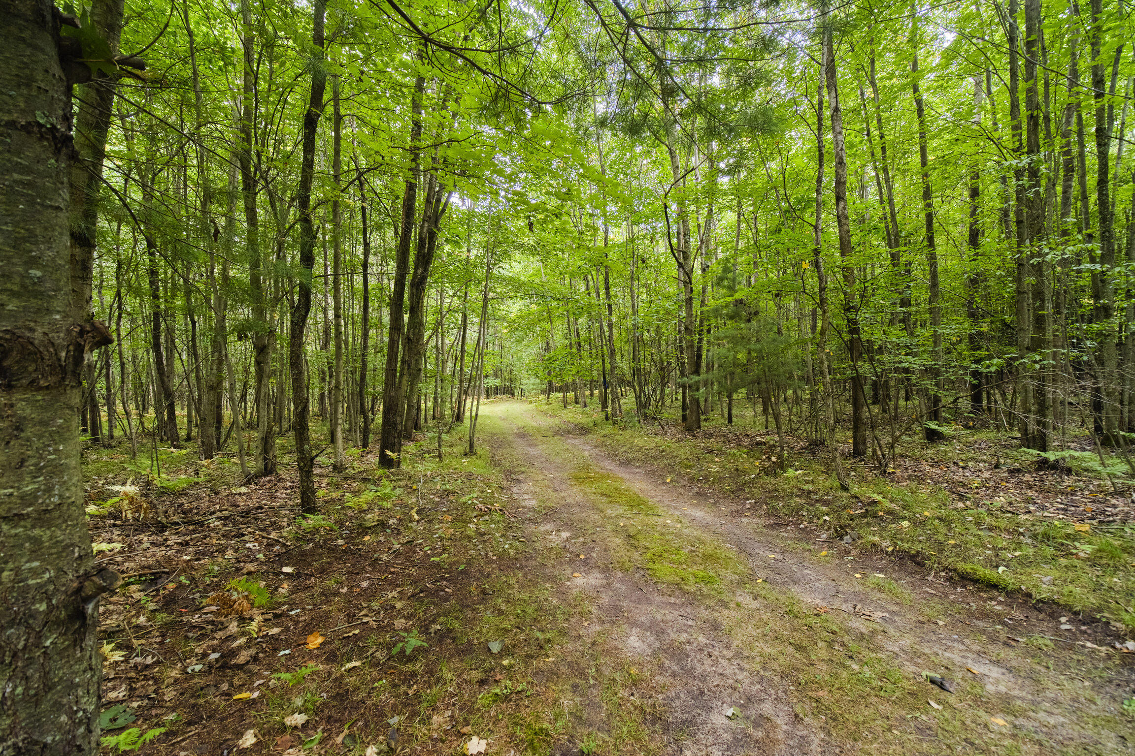 8089 Hunter's Ridge Trail