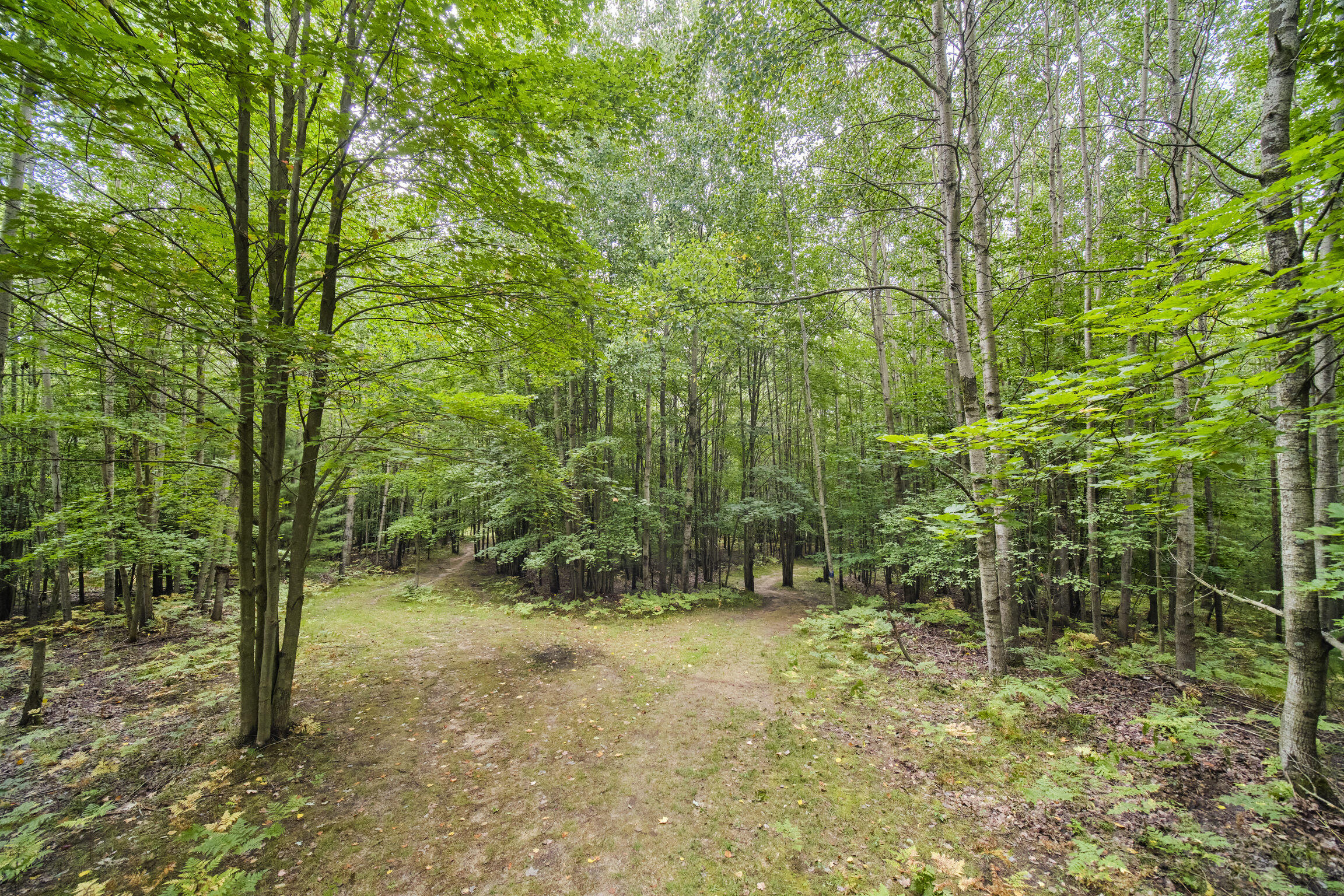 8089 Hunter's Ridge Trail