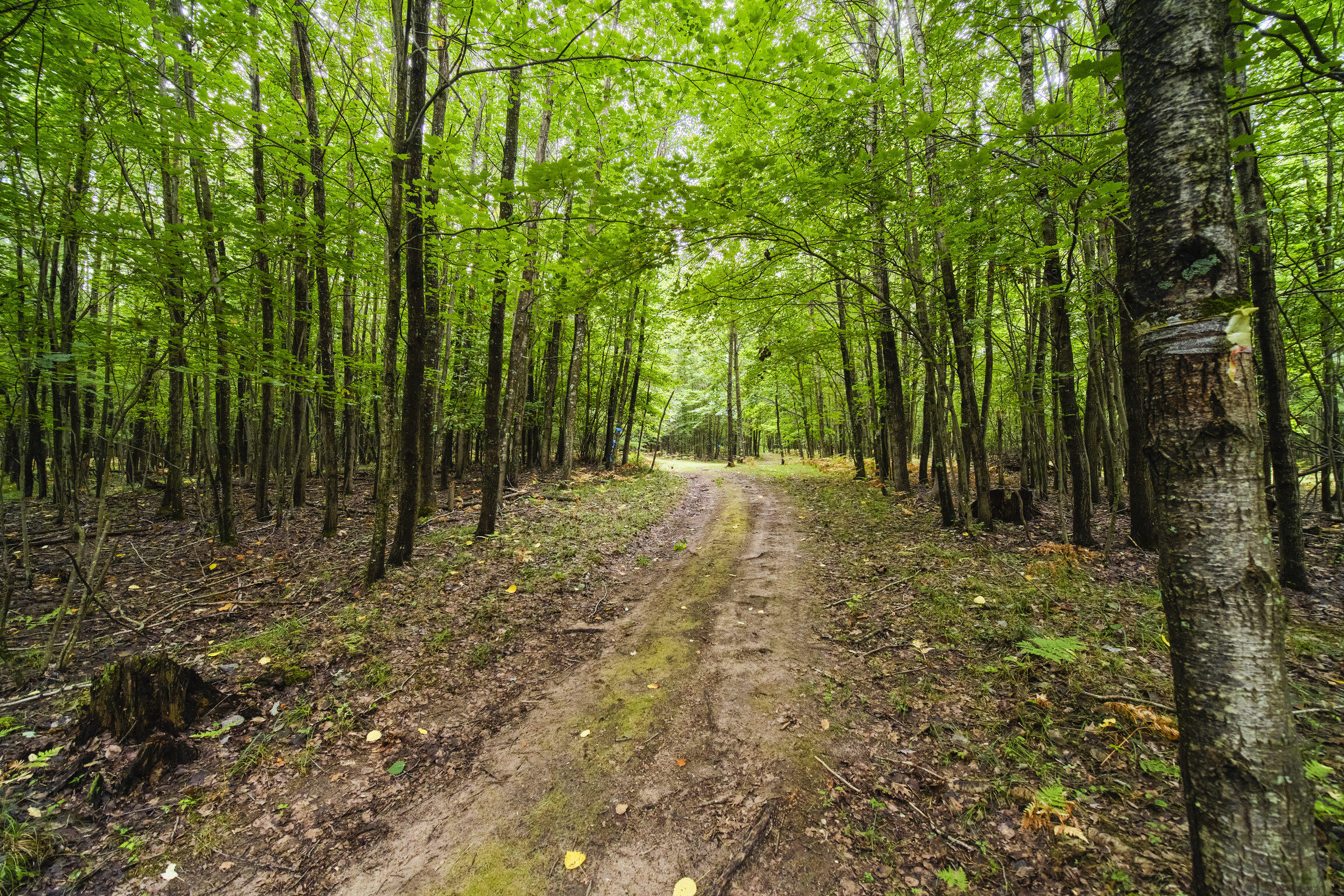 8089 Hunter's Ridge Trail