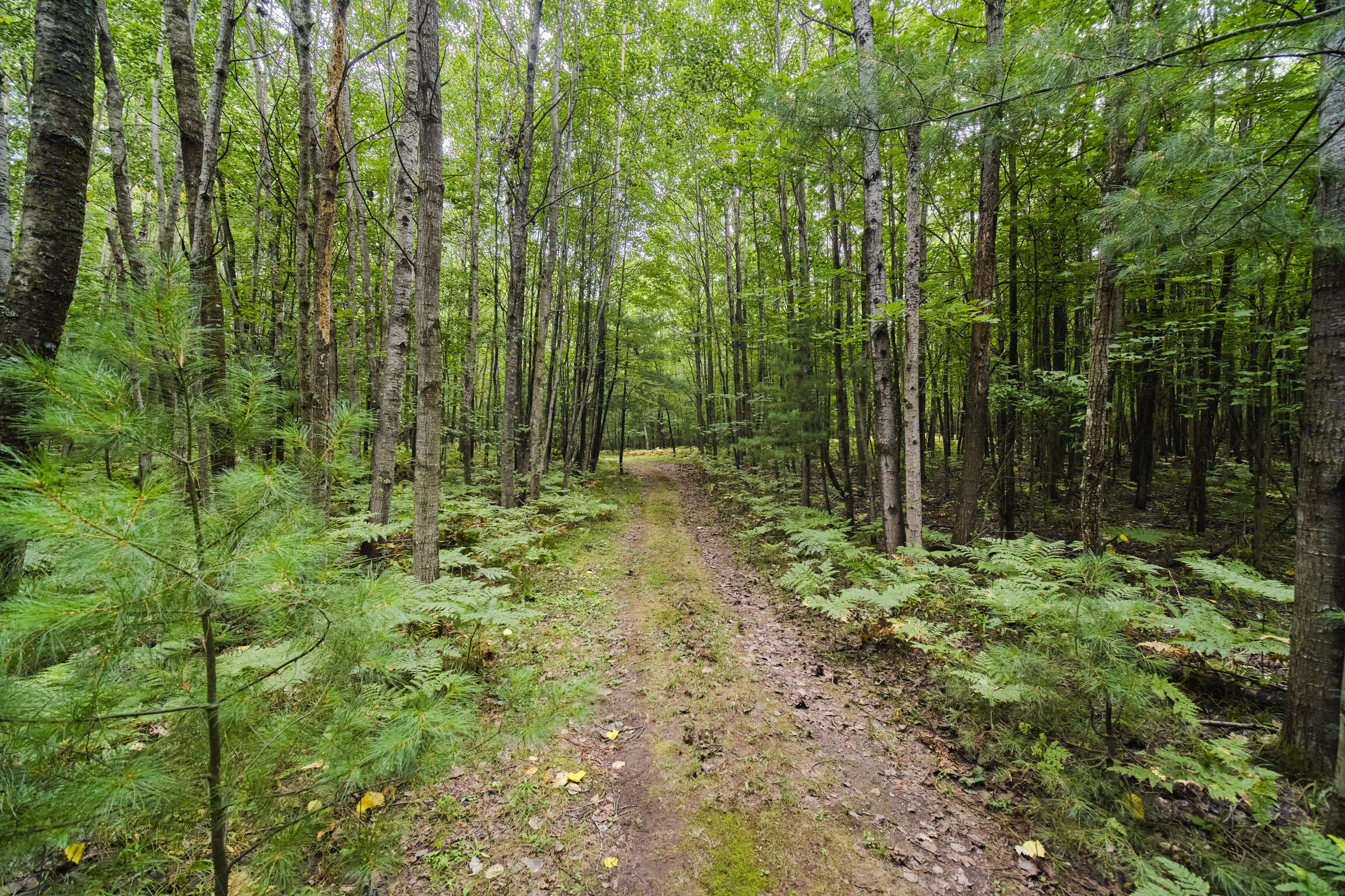 8089 Hunter's Ridge Trail