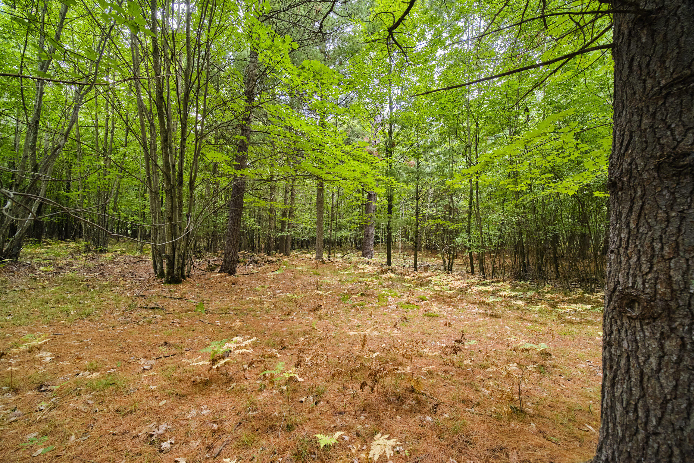 8089 Hunter's Ridge Trail