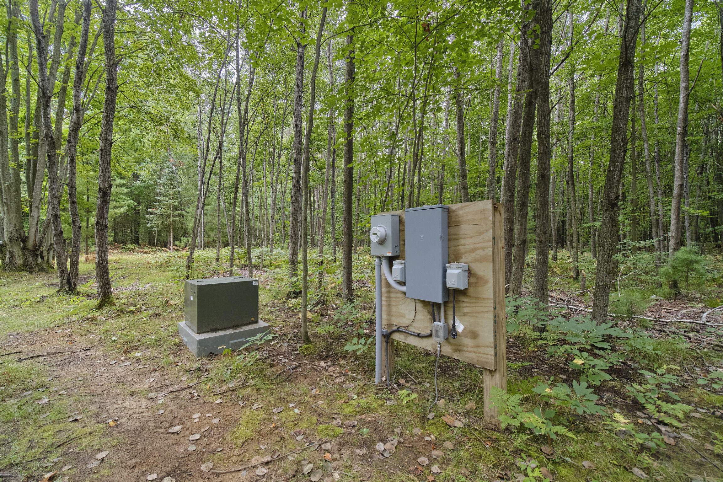 8089 Hunter's Ridge Trail